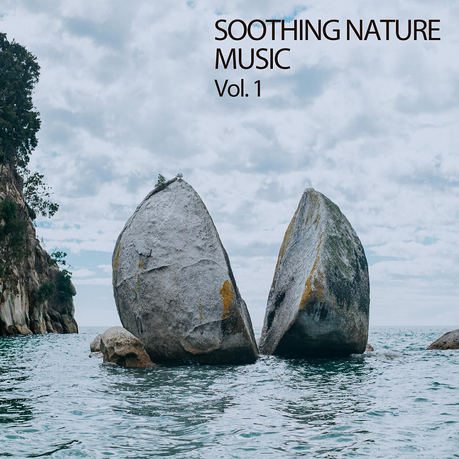 Weather - Ambient Rainforest