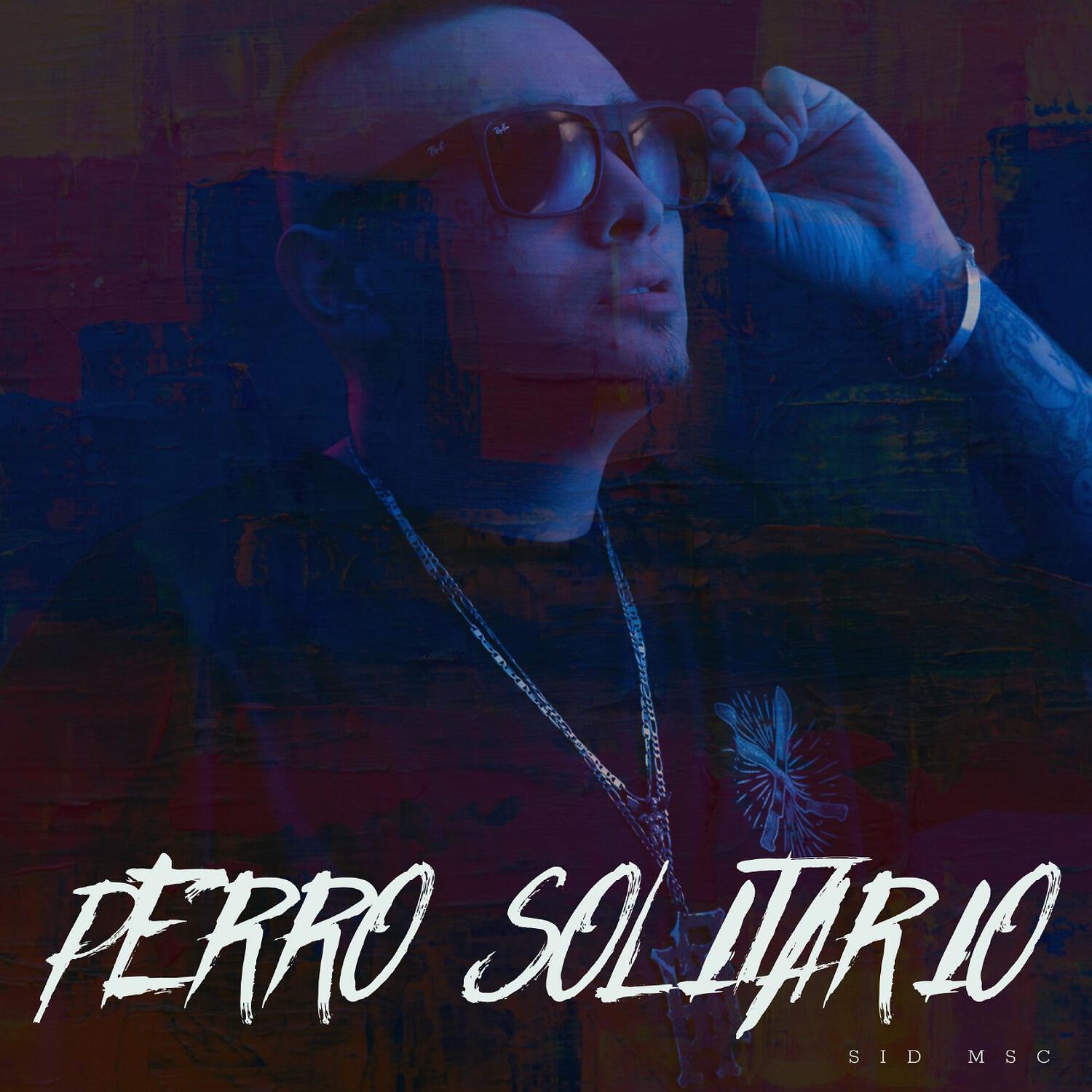 Sid MSC - Perro Solitario