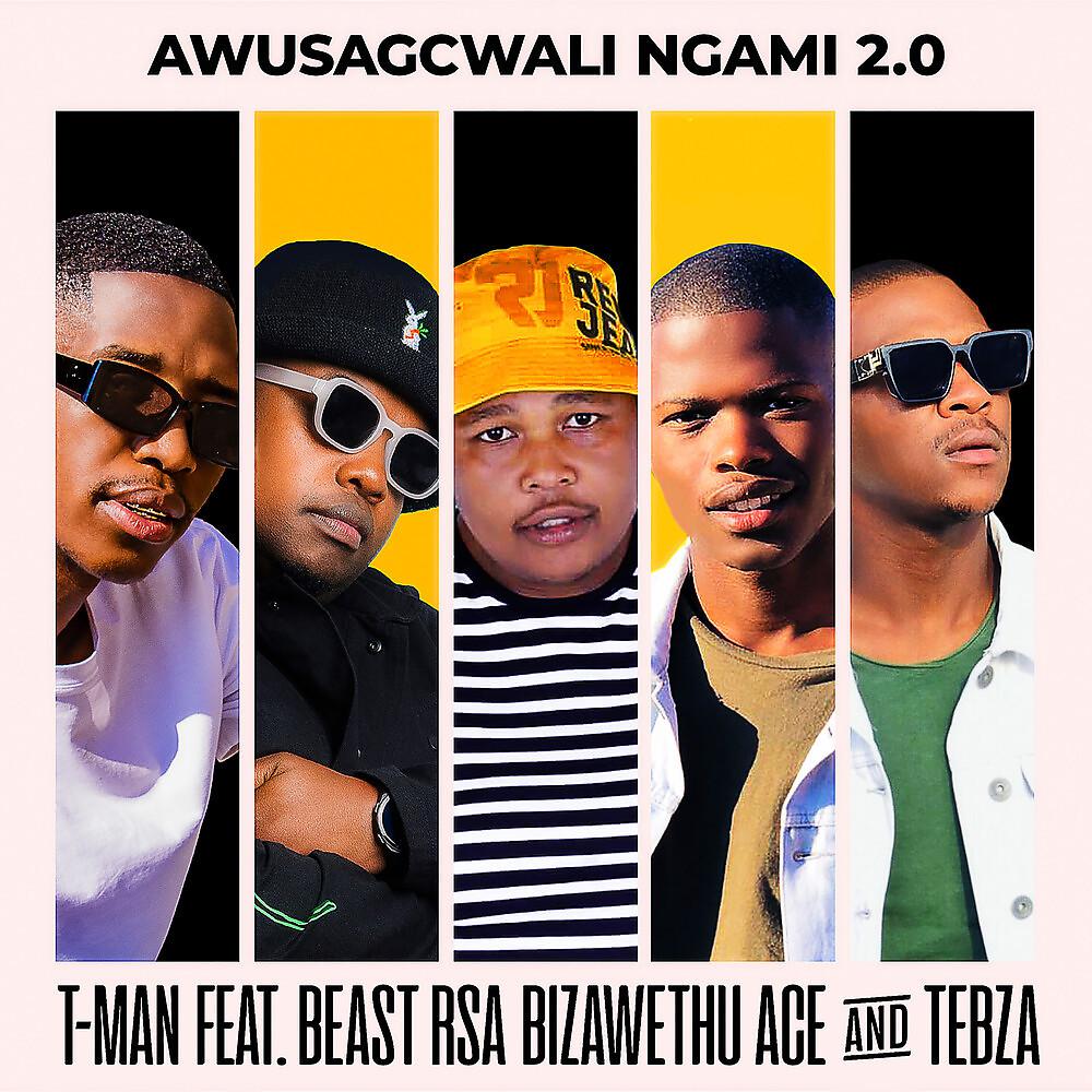Постер альбома Awusagcwali Ngami 2.0