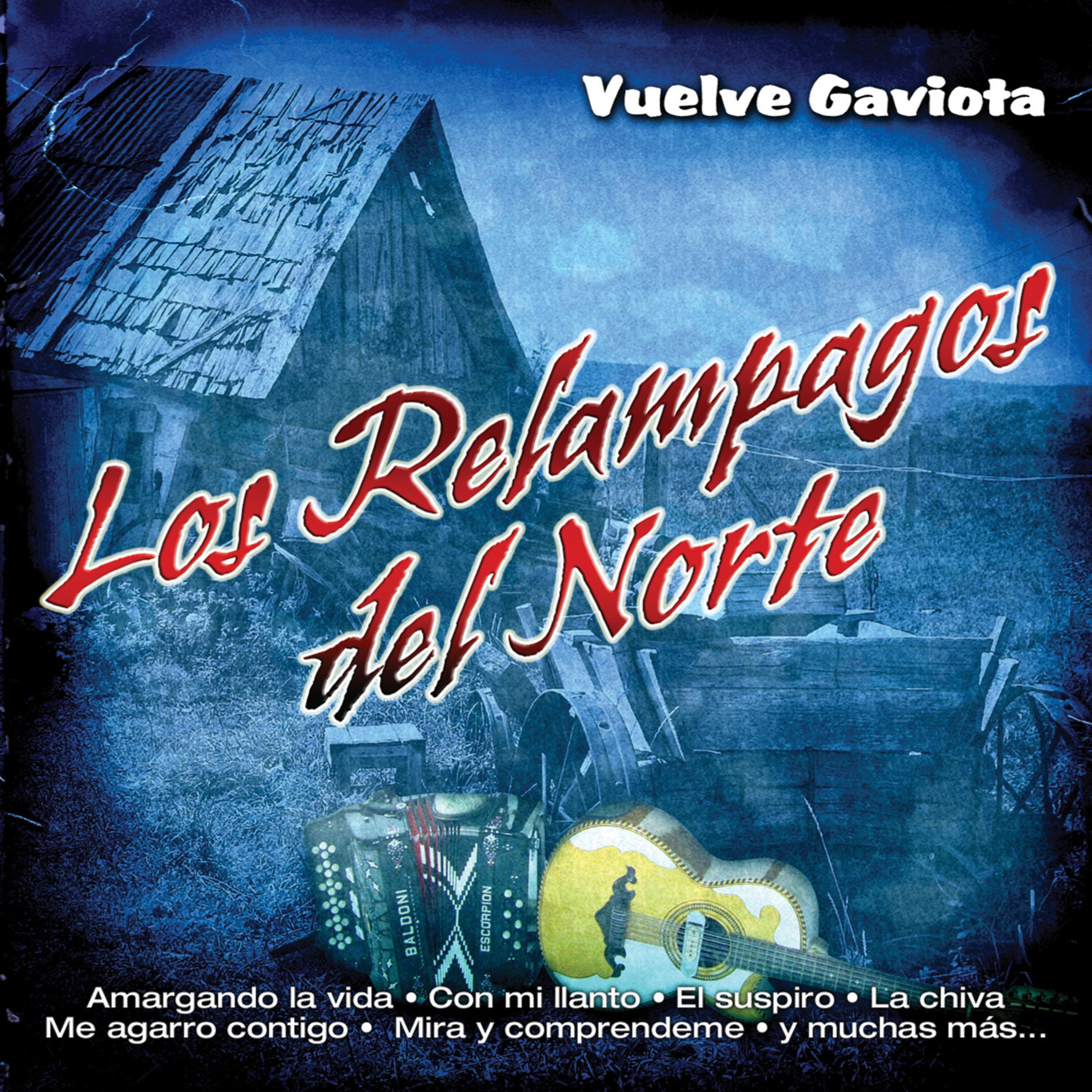 Постер альбома Vuelve Gaviota