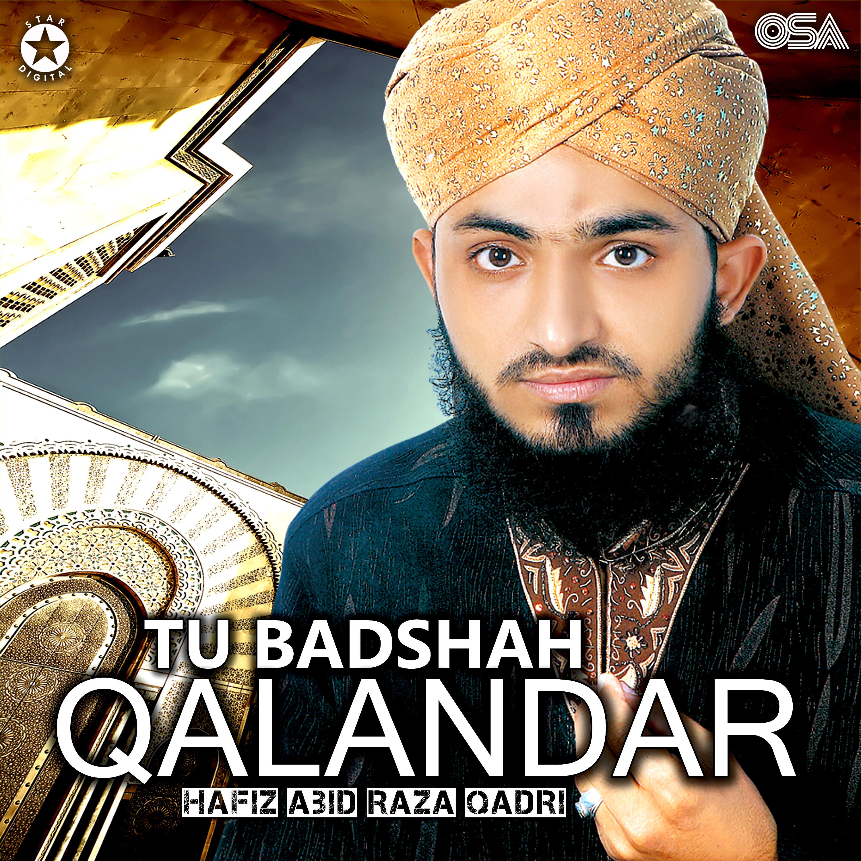 Hafiz Abid Raza Qadri - Bari Sarkar Mein Ponchen