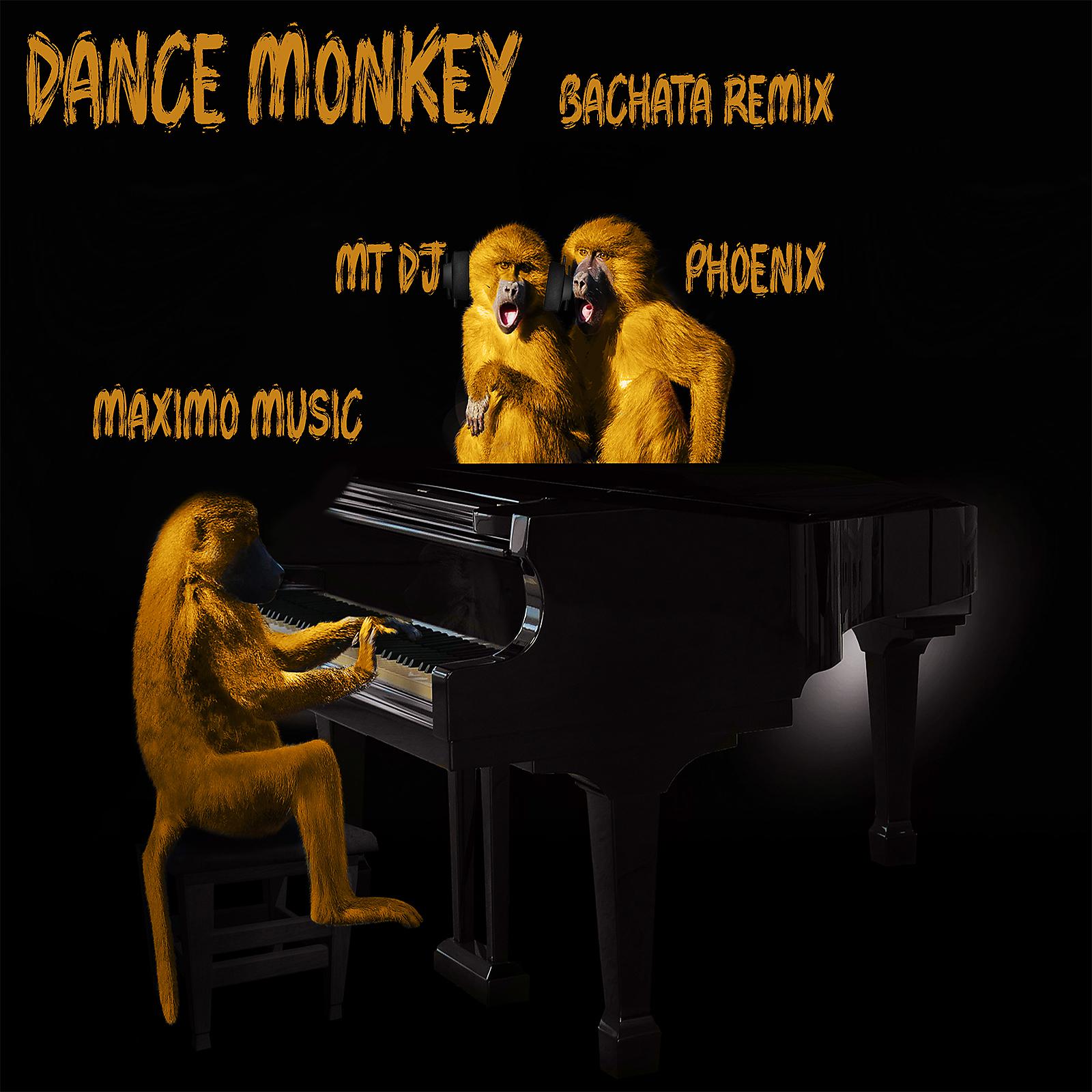 Постер альбома Dance Monkey (Maximo Music bachata remix)