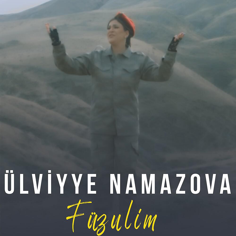 Постер альбома Füzulim