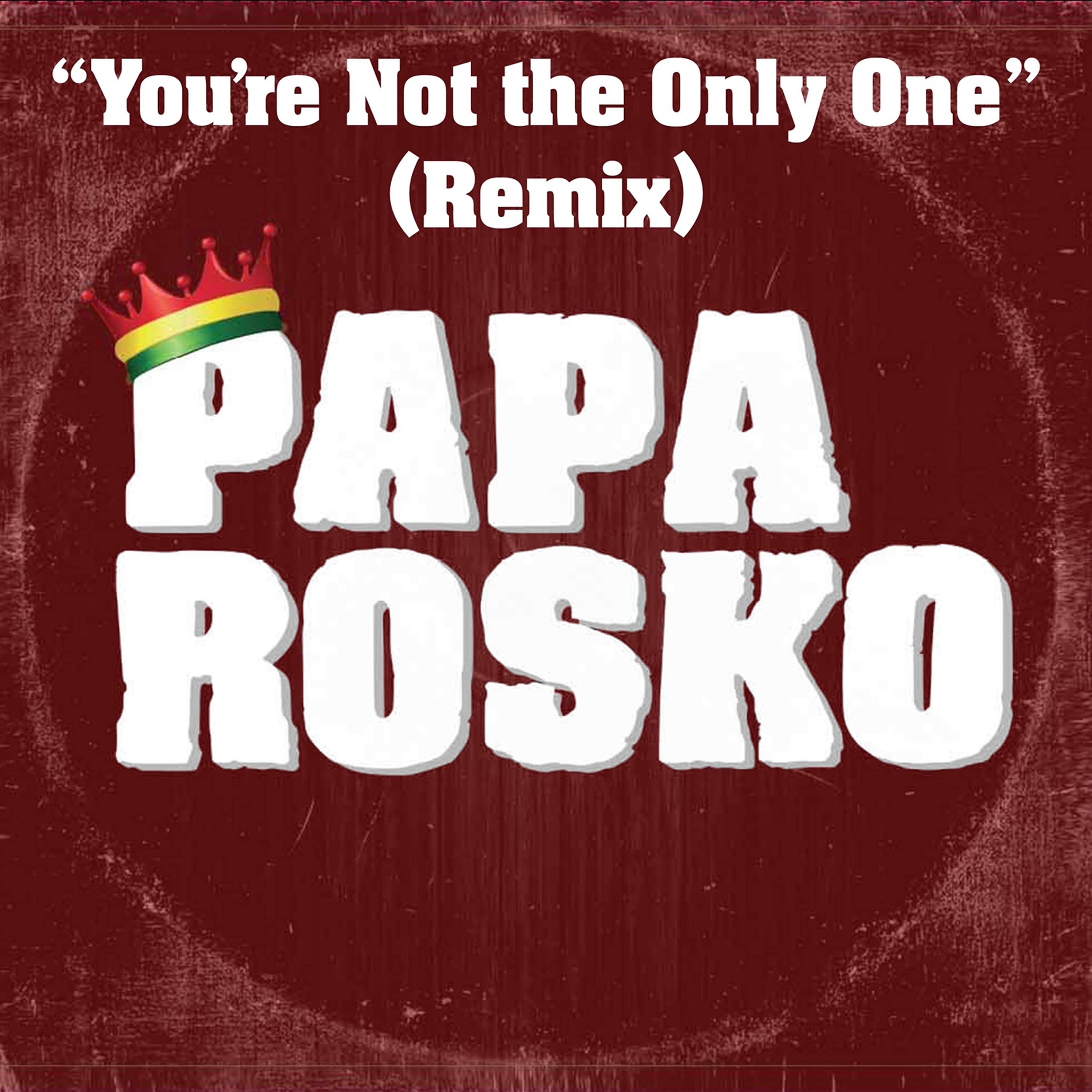 Постер альбома You're Not the Only One (feat. Aj Brown) (Remix)
