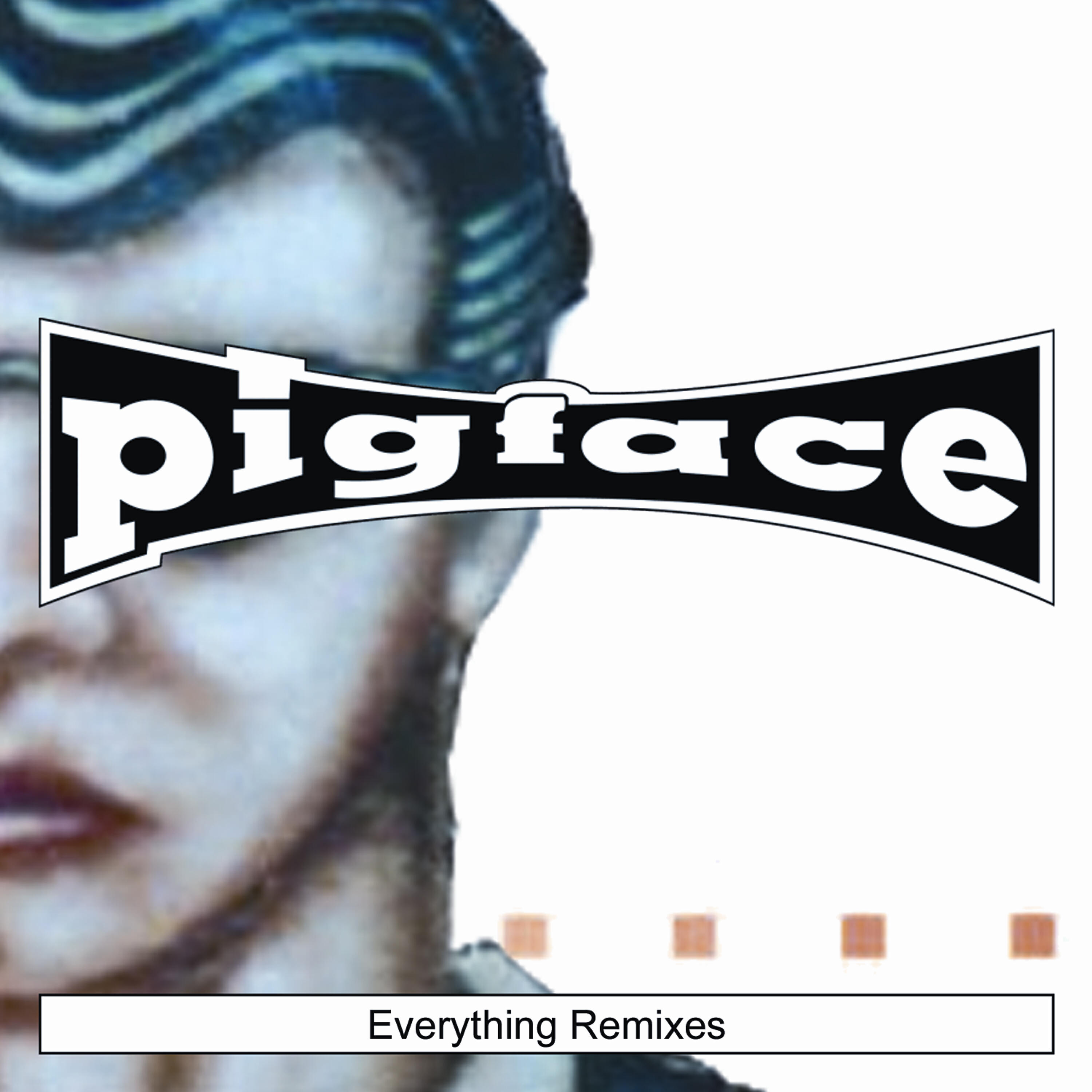 Pigface - Everything (Icemonkey Mix)