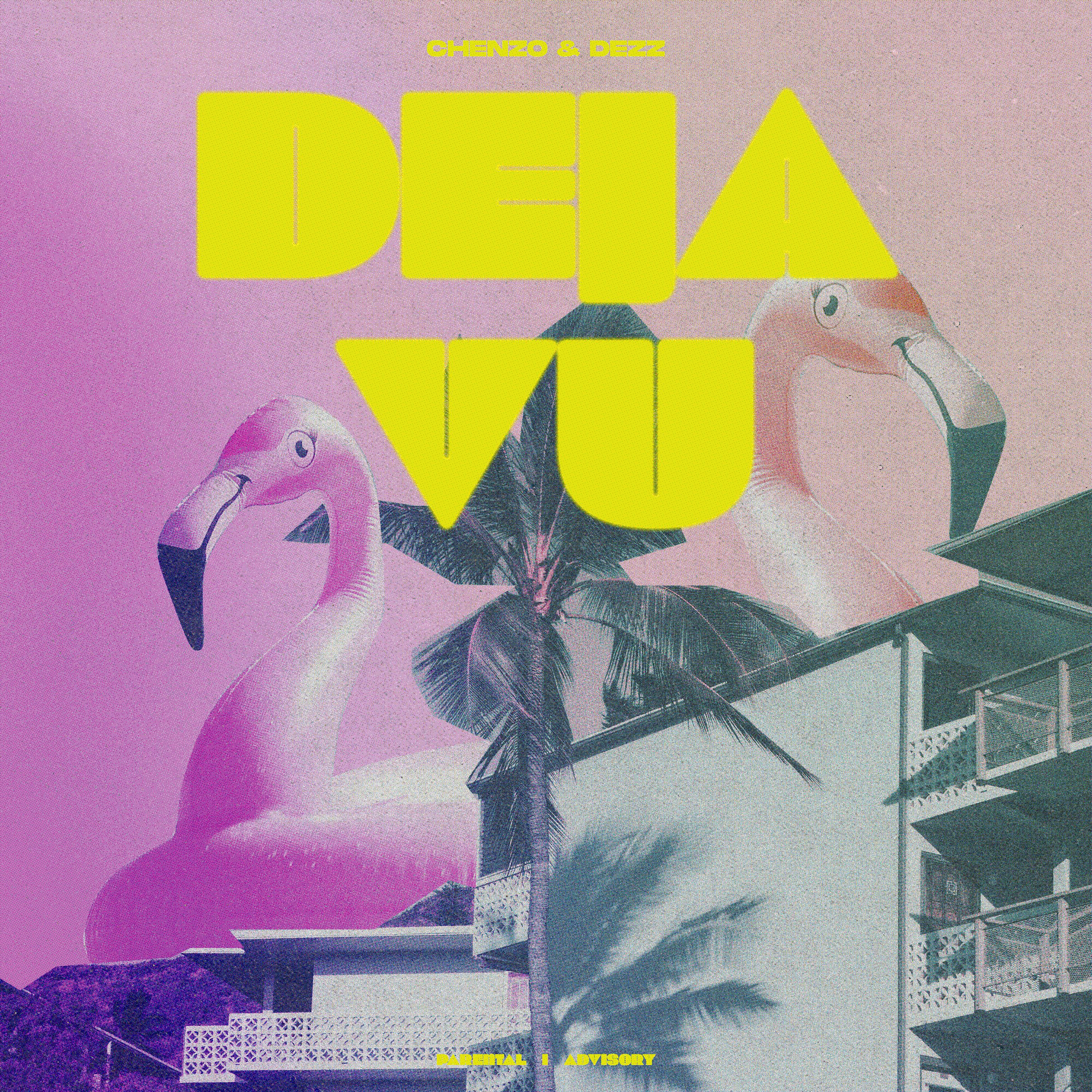 Постер альбома Deja Vu