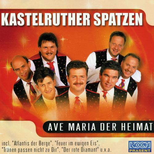 Постер альбома Ave Maria der Heimat
