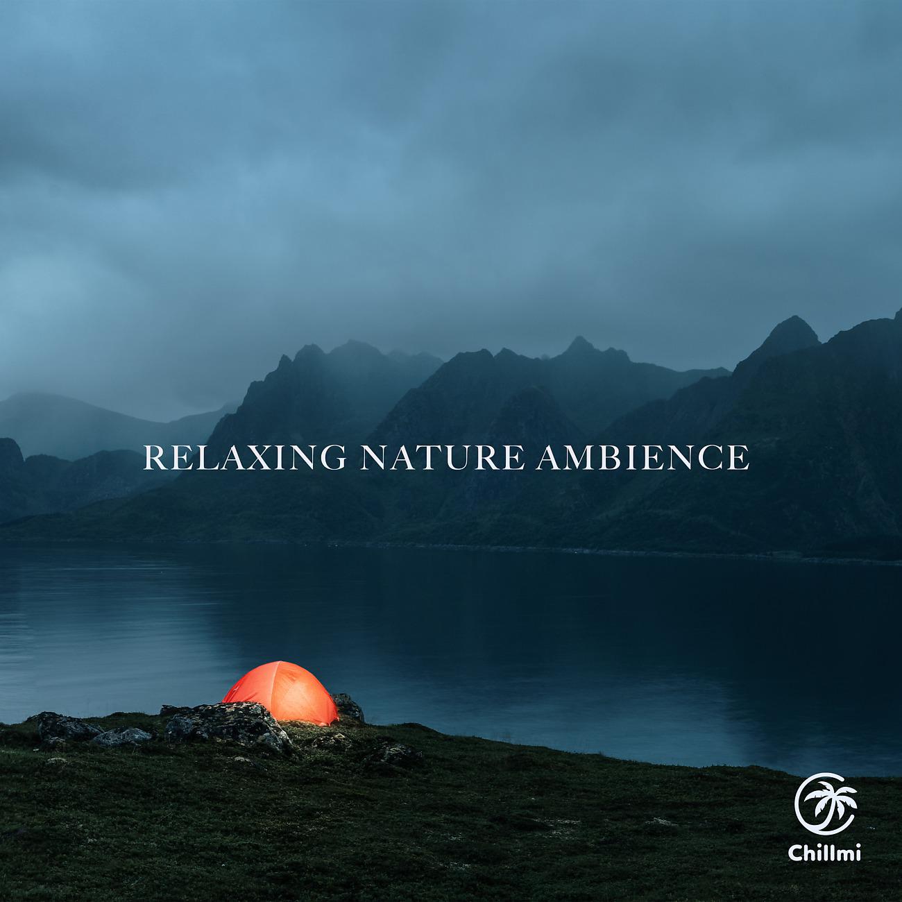 Постер альбома Relaxing Nature Ambience