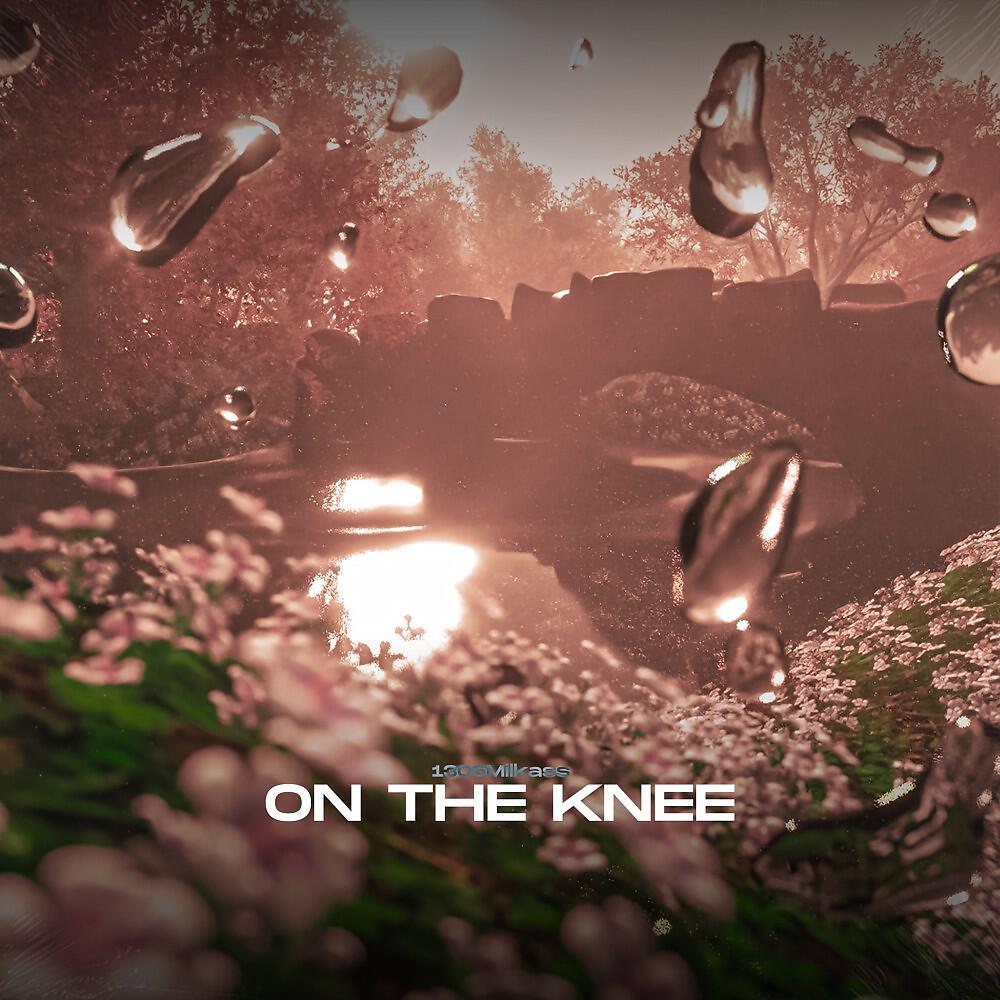 1306Milkass - Welcome TO THE CAM ZONE (Prod. By GREEN ORXNGE)