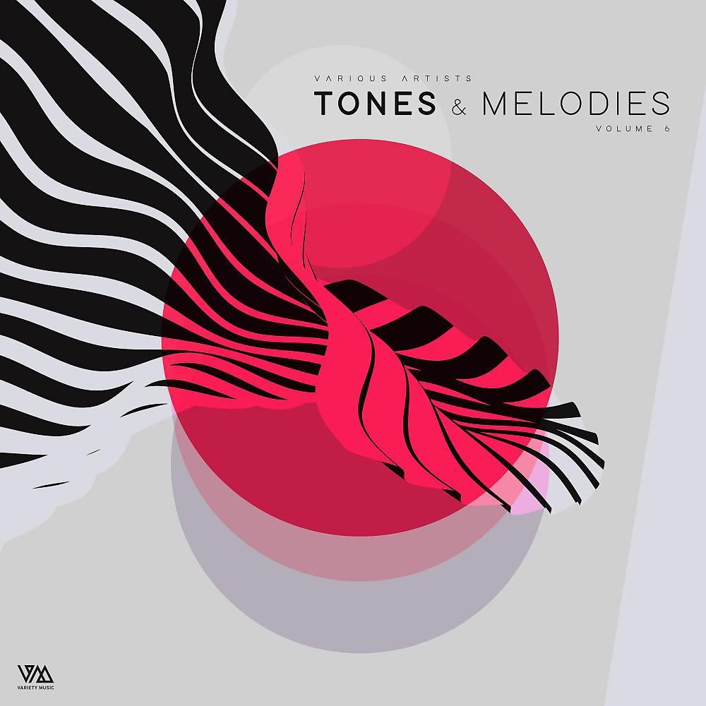 Постер альбома Tones & Melodies, Vol. 6