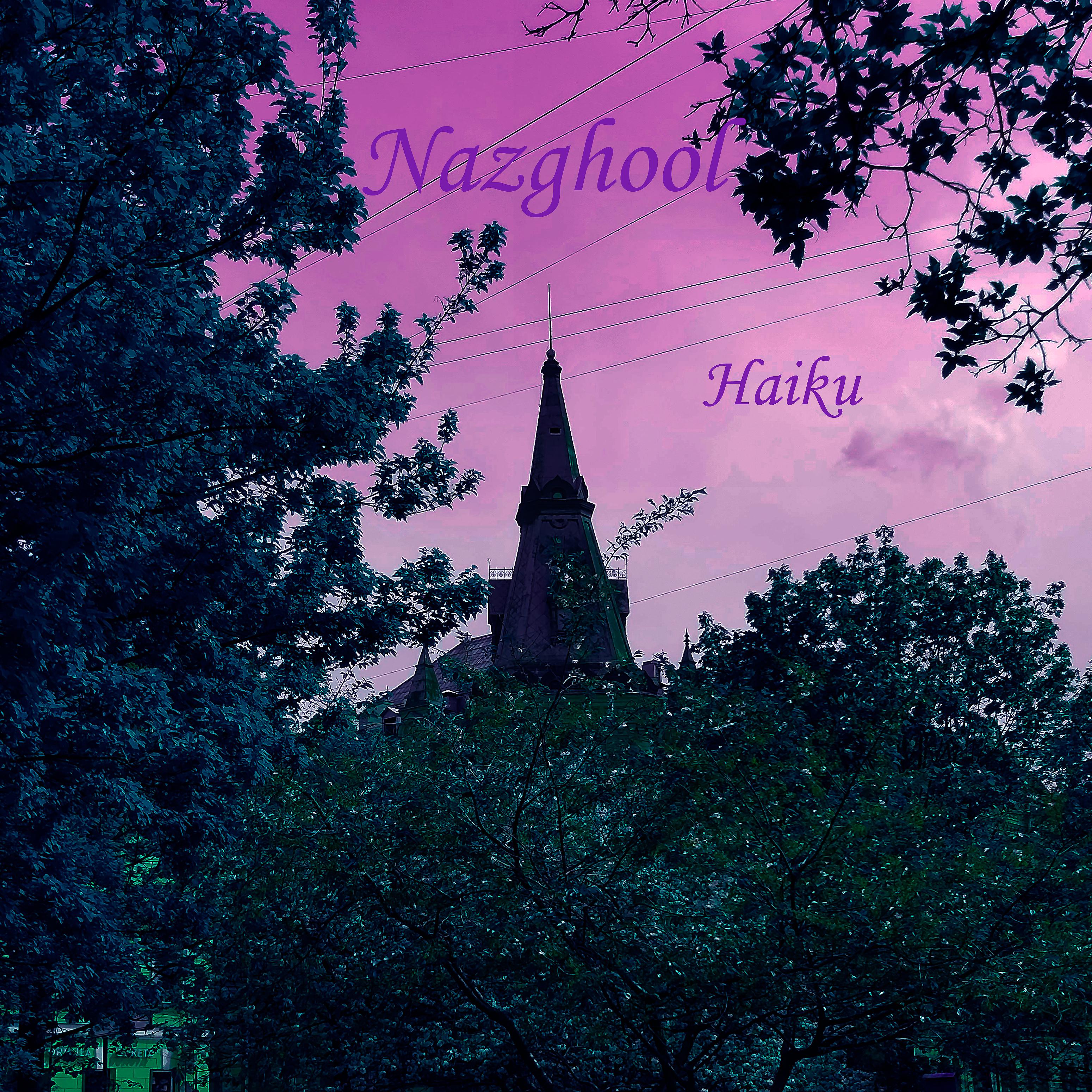 Постер альбома Haiku