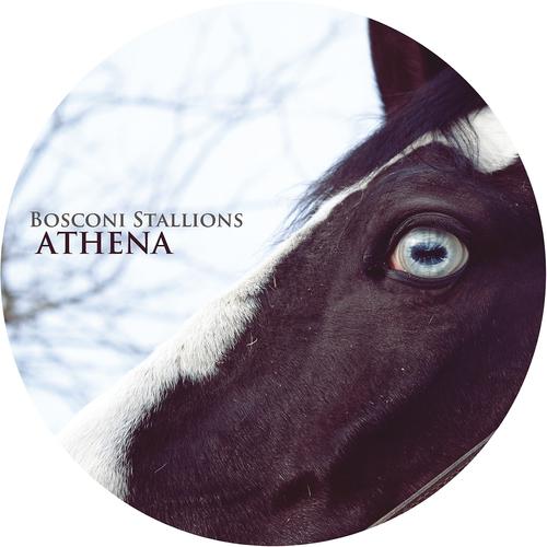 Постер альбома Bosconi Stallions - Athena