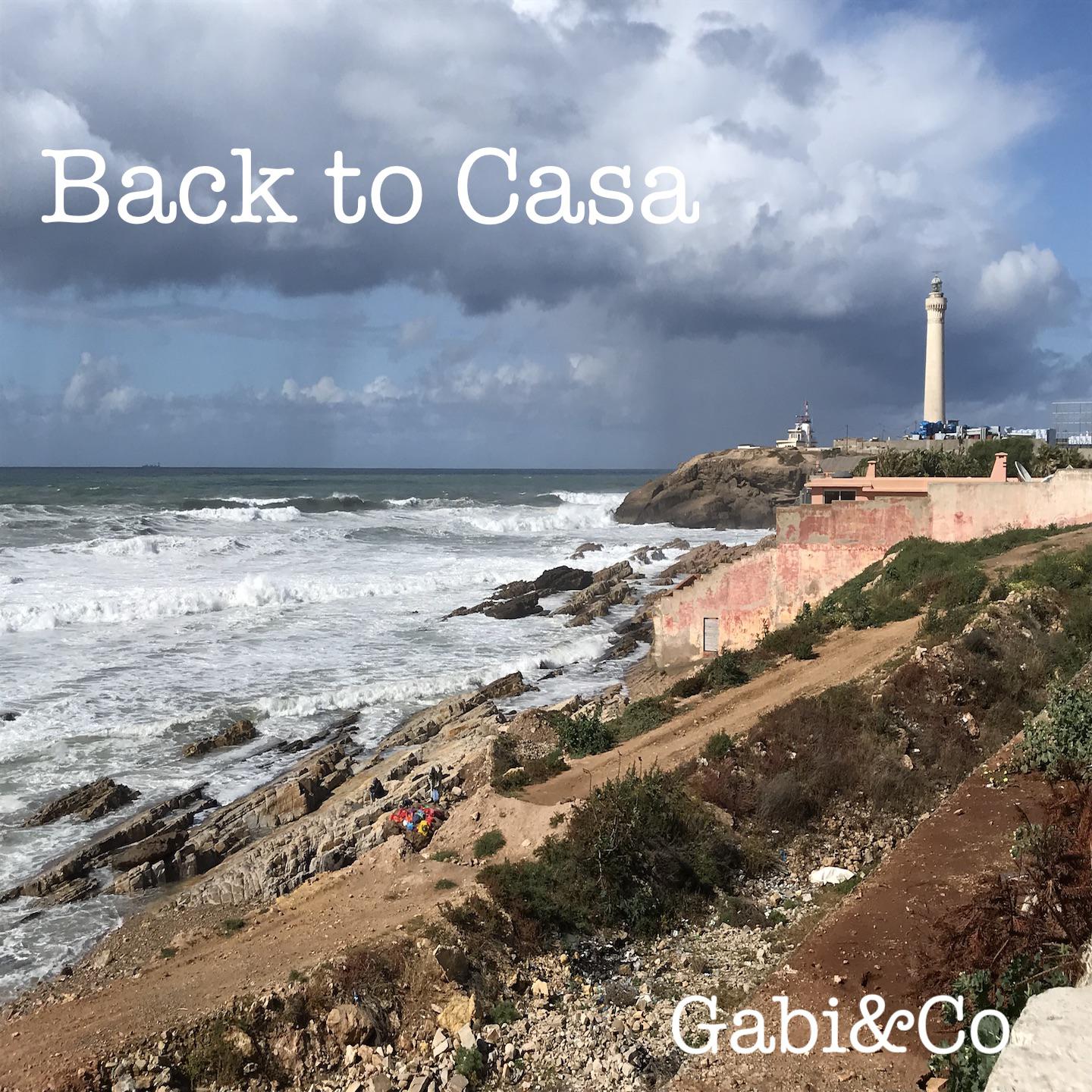 Постер альбома Back to Casa