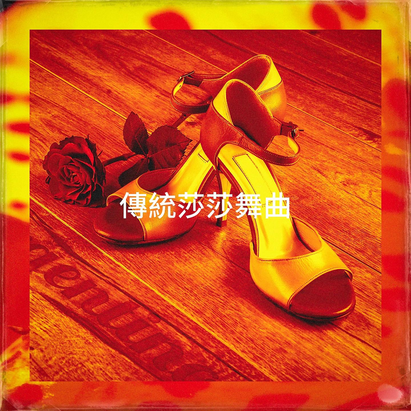 Постер альбома 傳統莎莎舞曲