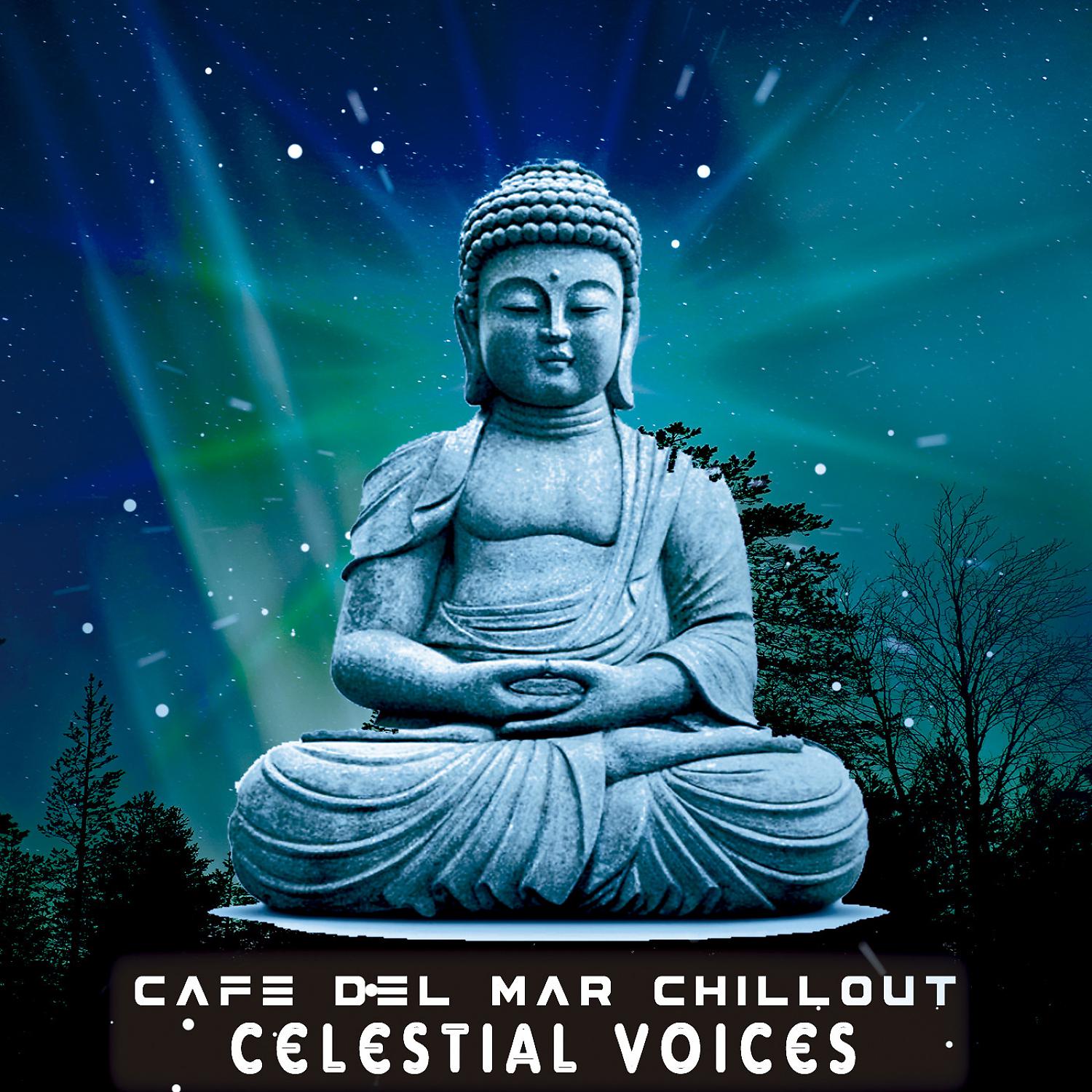 Постер альбома Celestial Voices