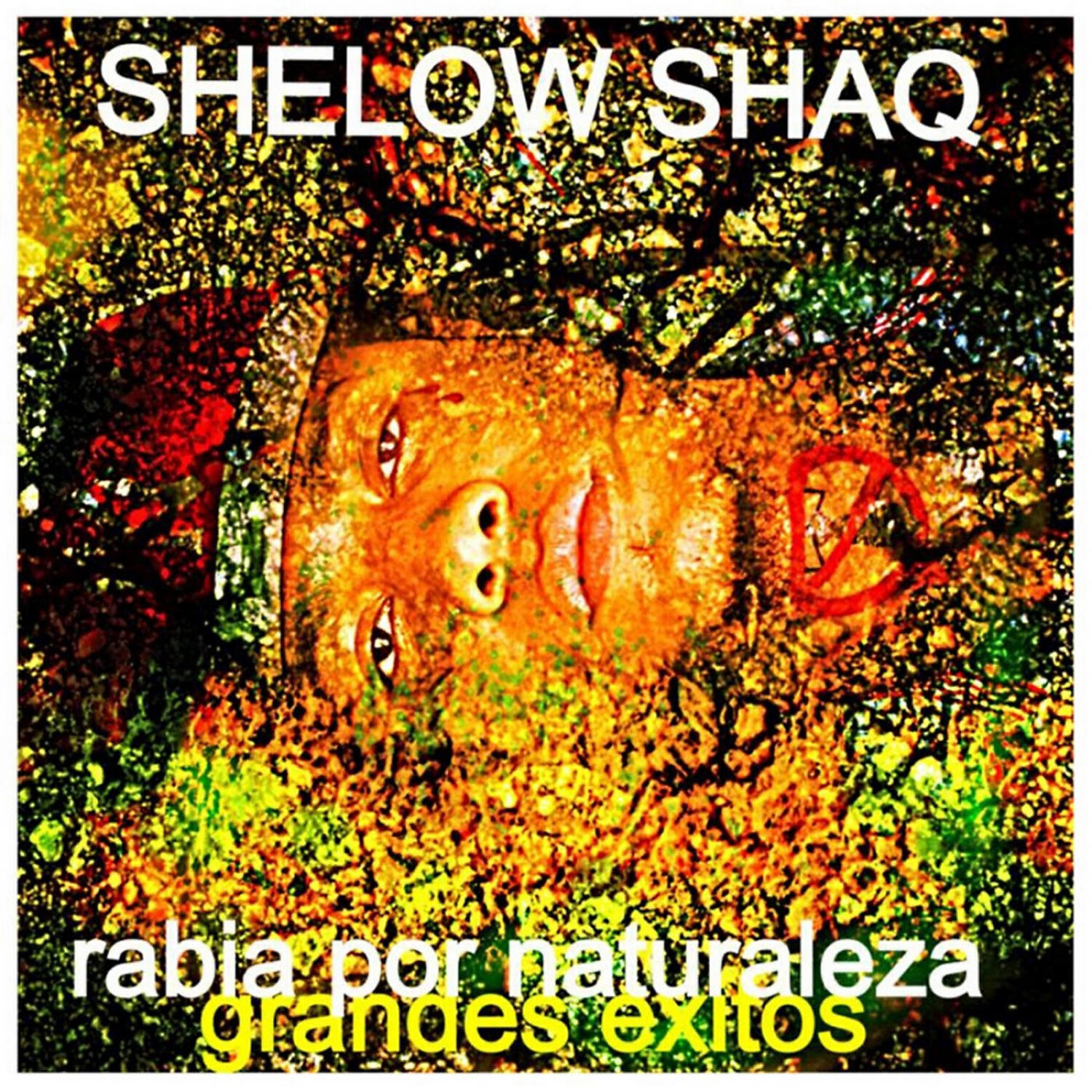 Shelow Shaq - Lo Ma (feat. Skeem)