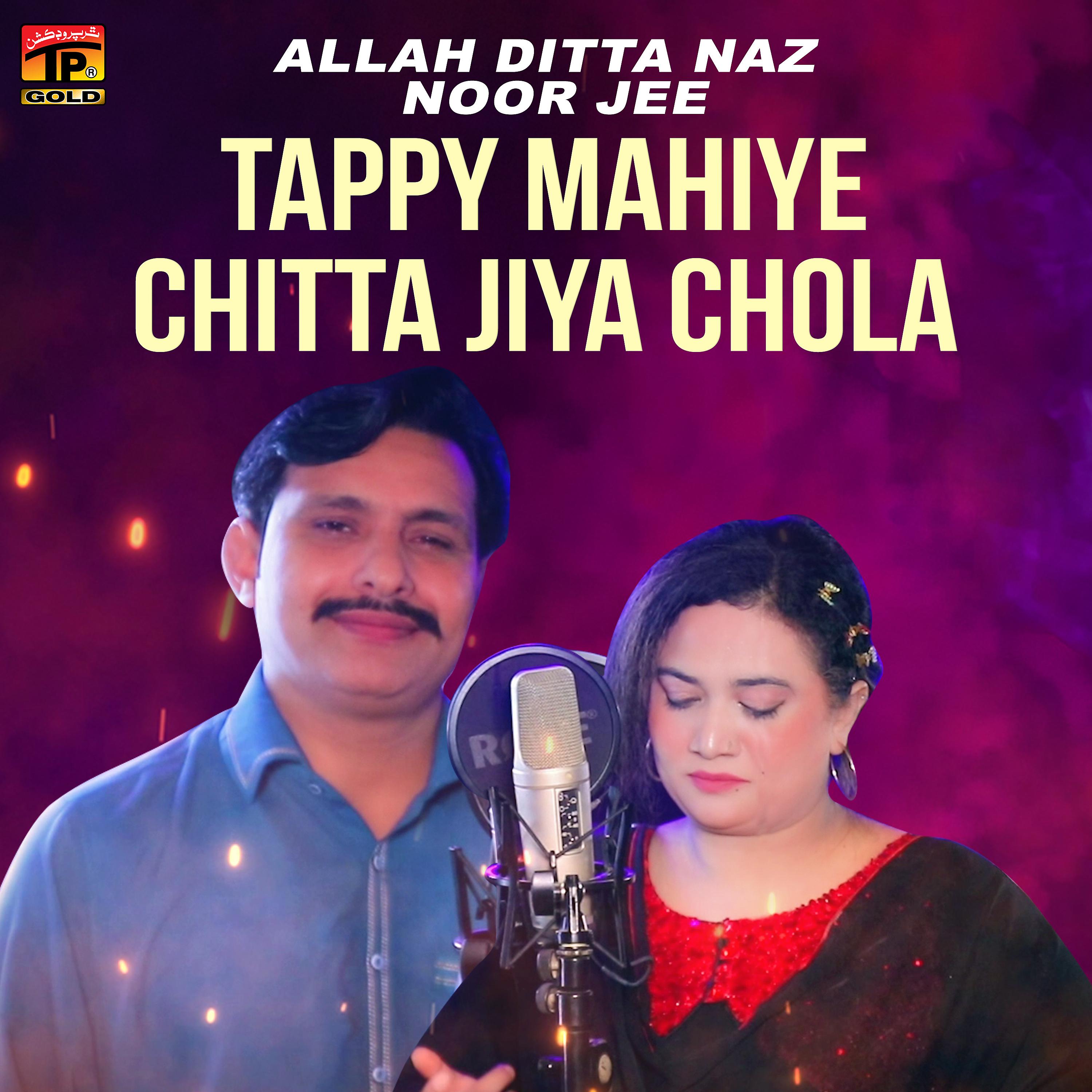 Постер альбома Tappy Mahiye Chitta Jiya Chola - Single