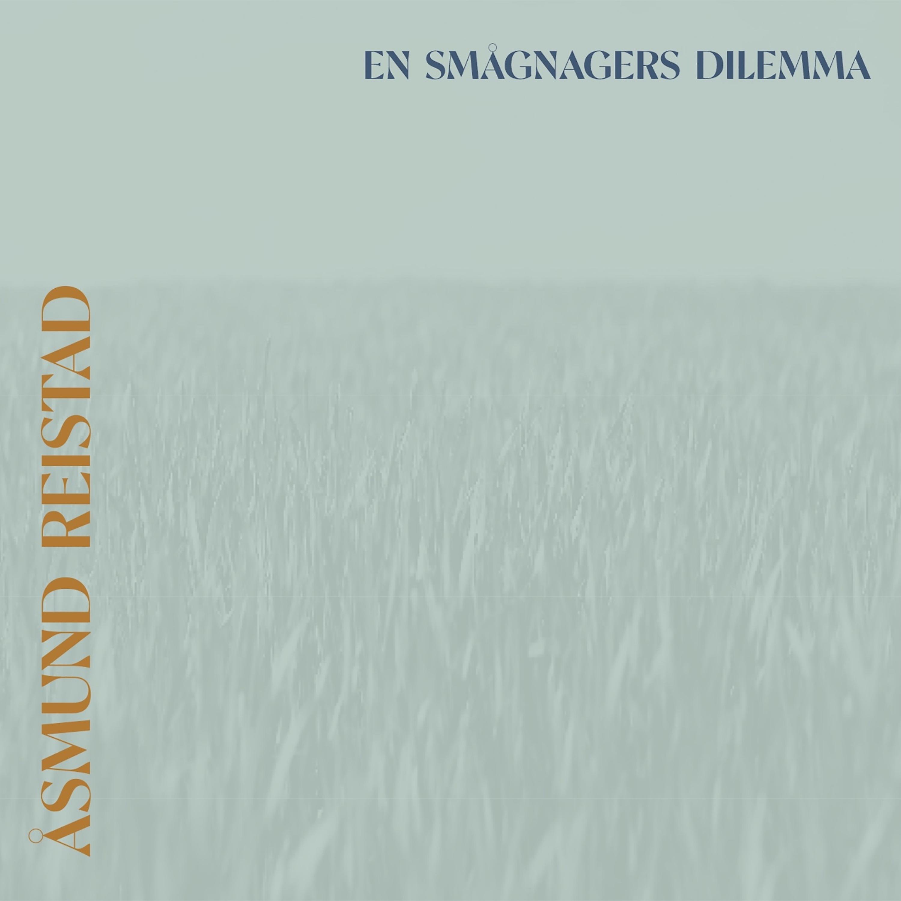 Постер альбома En Smågnagers Dilemma