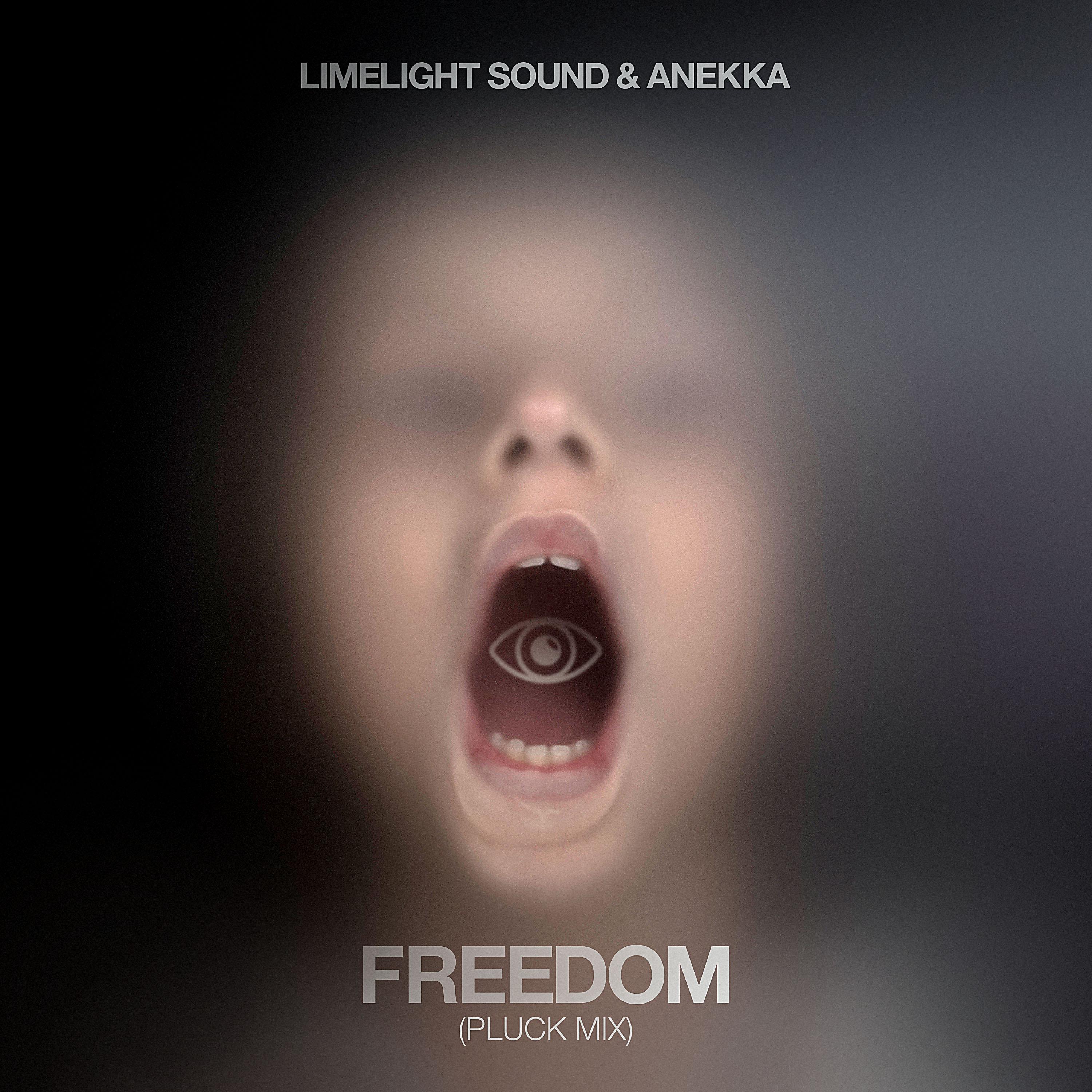 Постер альбома Freedom (Pluck Mix)