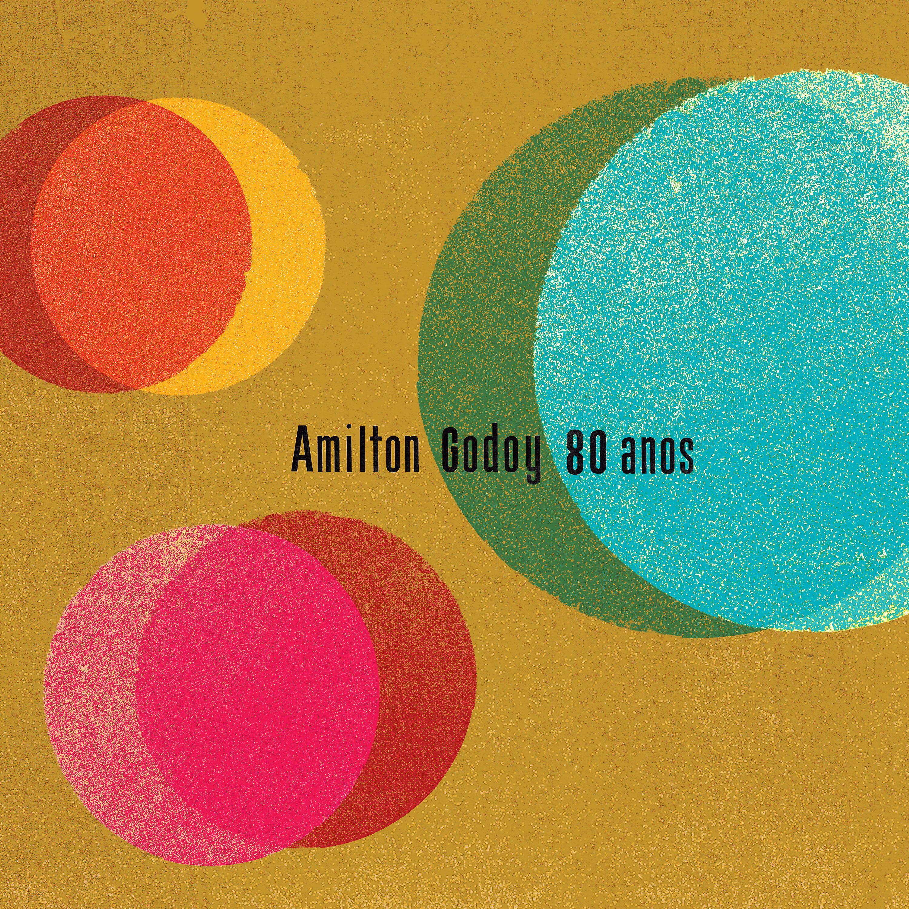 Постер альбома Amilton Godoy 80 Anos
