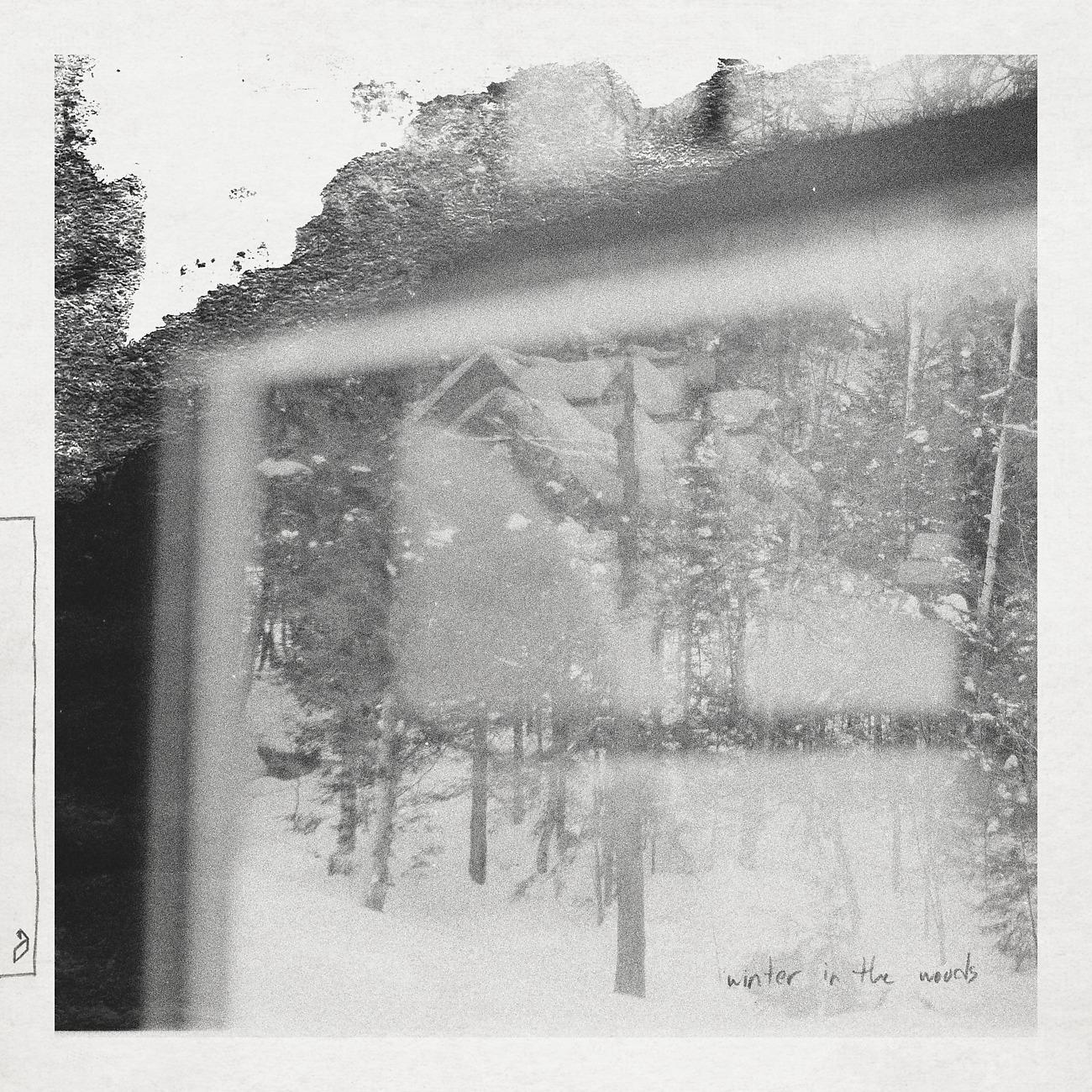 Постер альбома Winter In The Woods