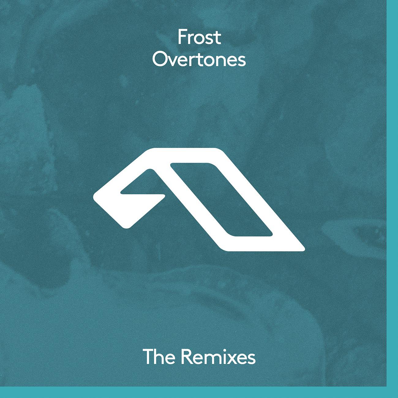 Постер альбома Overtones (The Remixes)