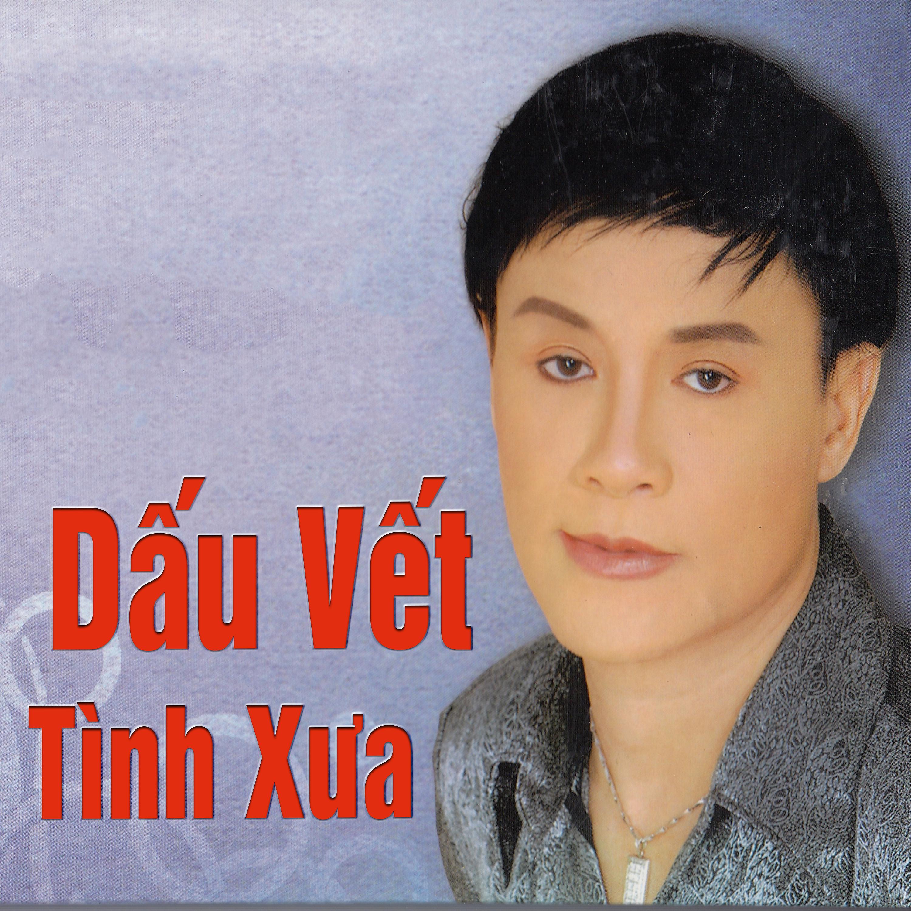 Постер альбома Dấu Vết Tình Xưa