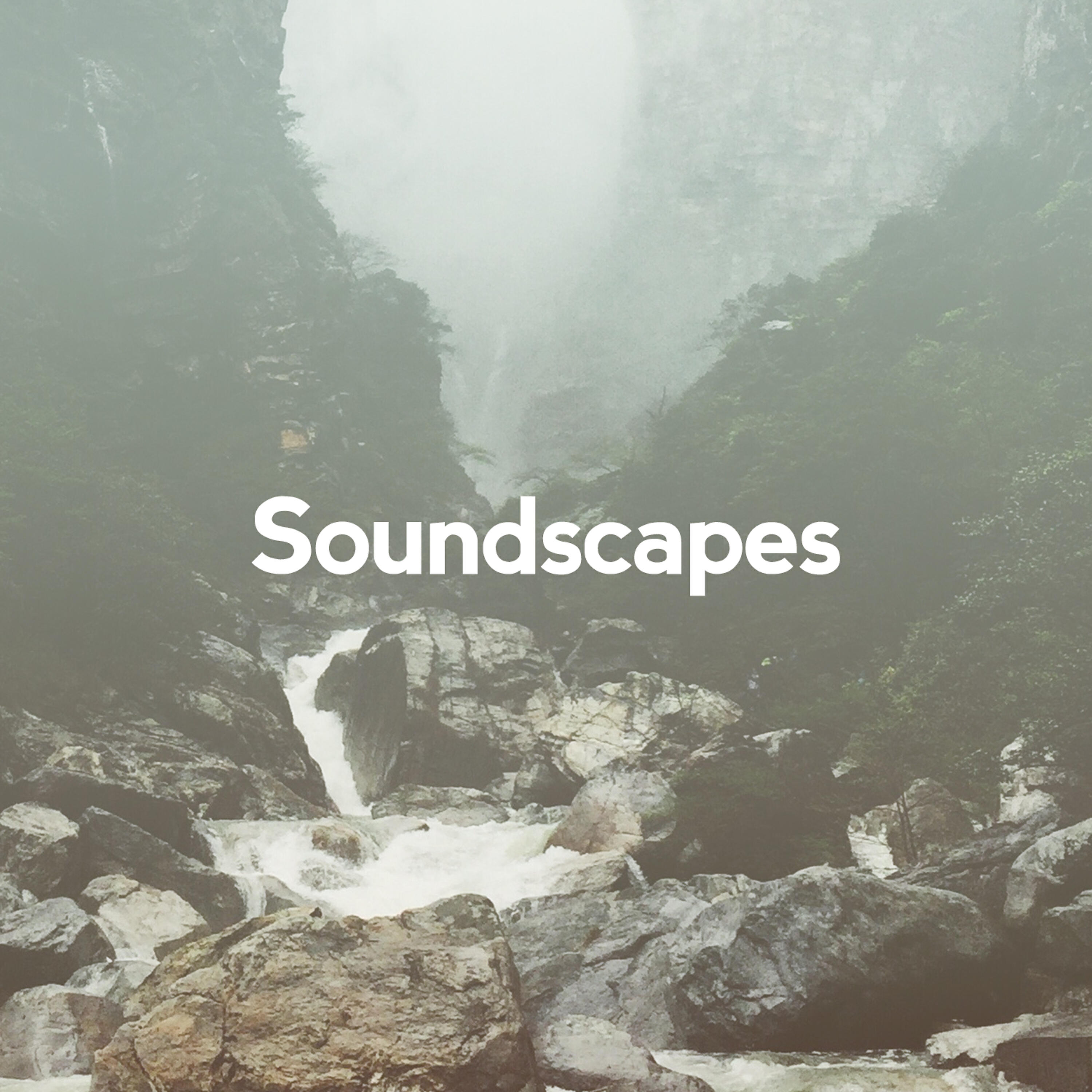 Soundscapes! - Copse Water