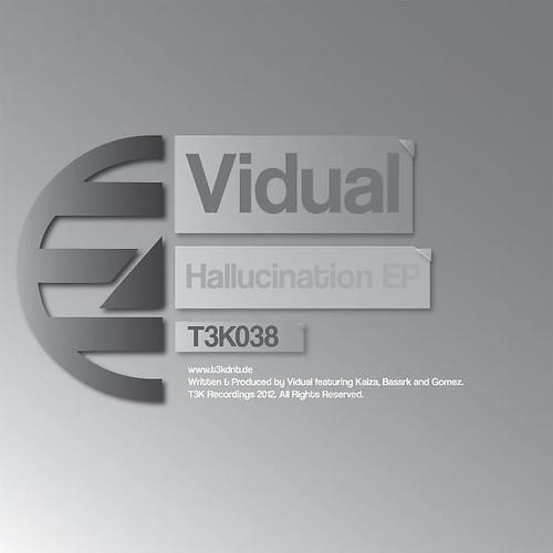 Vidual - Hallucination