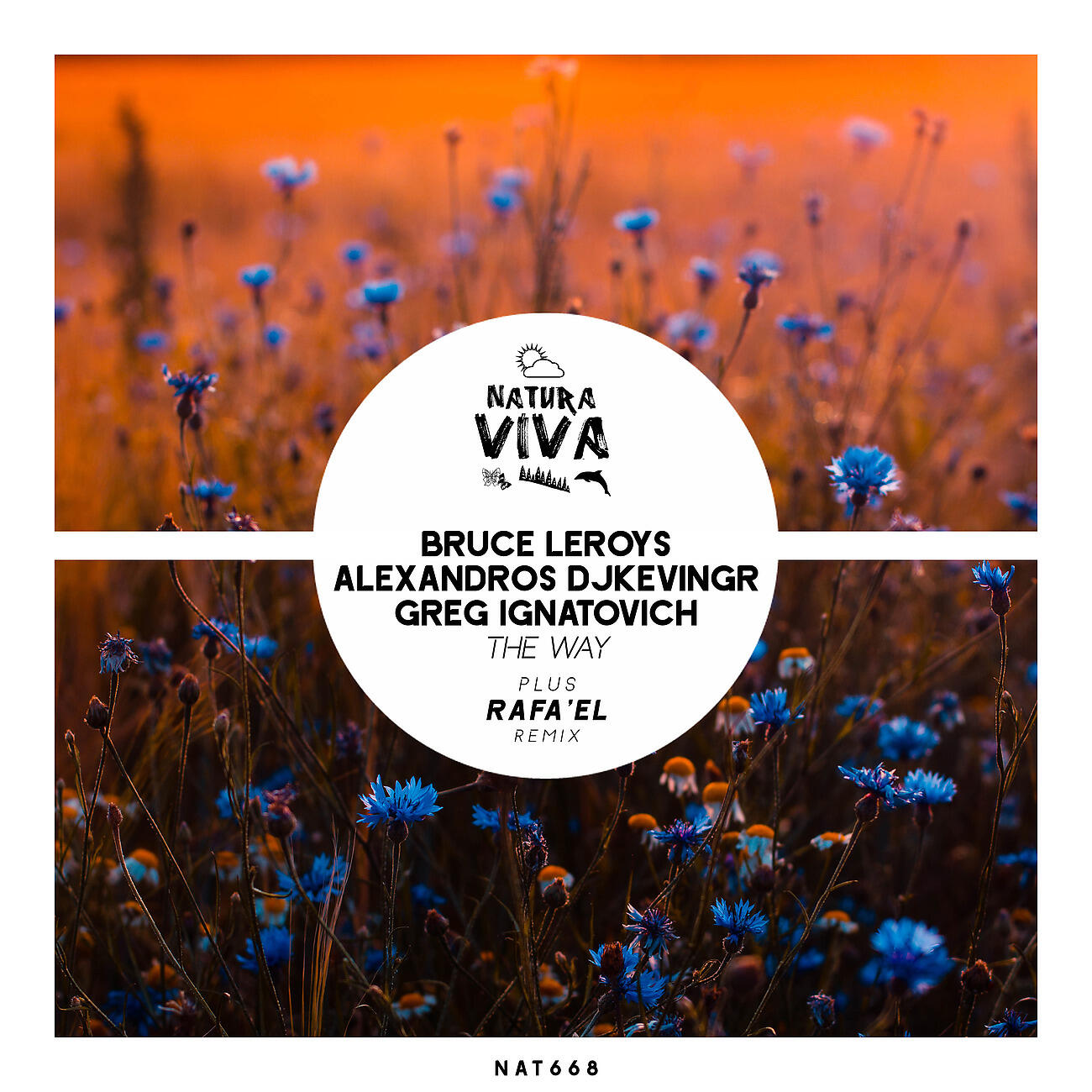 Bruce Leroys - The Way (Rafa'EL Remix)