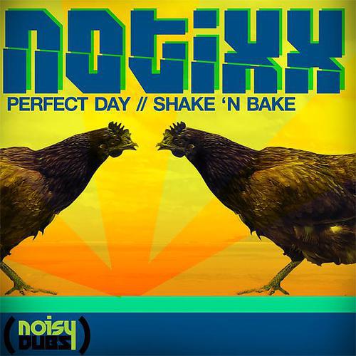Постер альбома Perfect Day / Shake N Bake