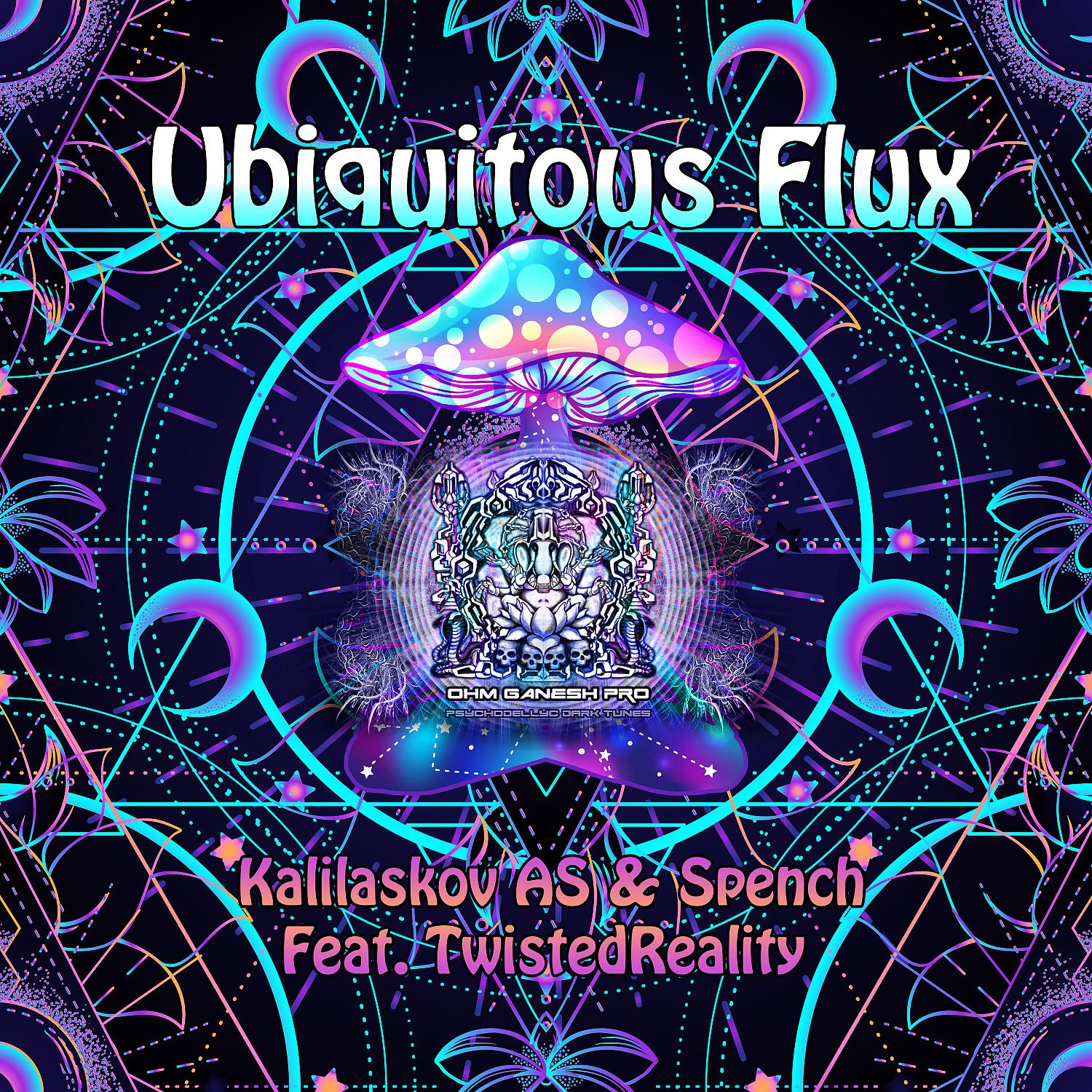 Постер альбома Ubiquitous Flux (feat. Twisted Reality)