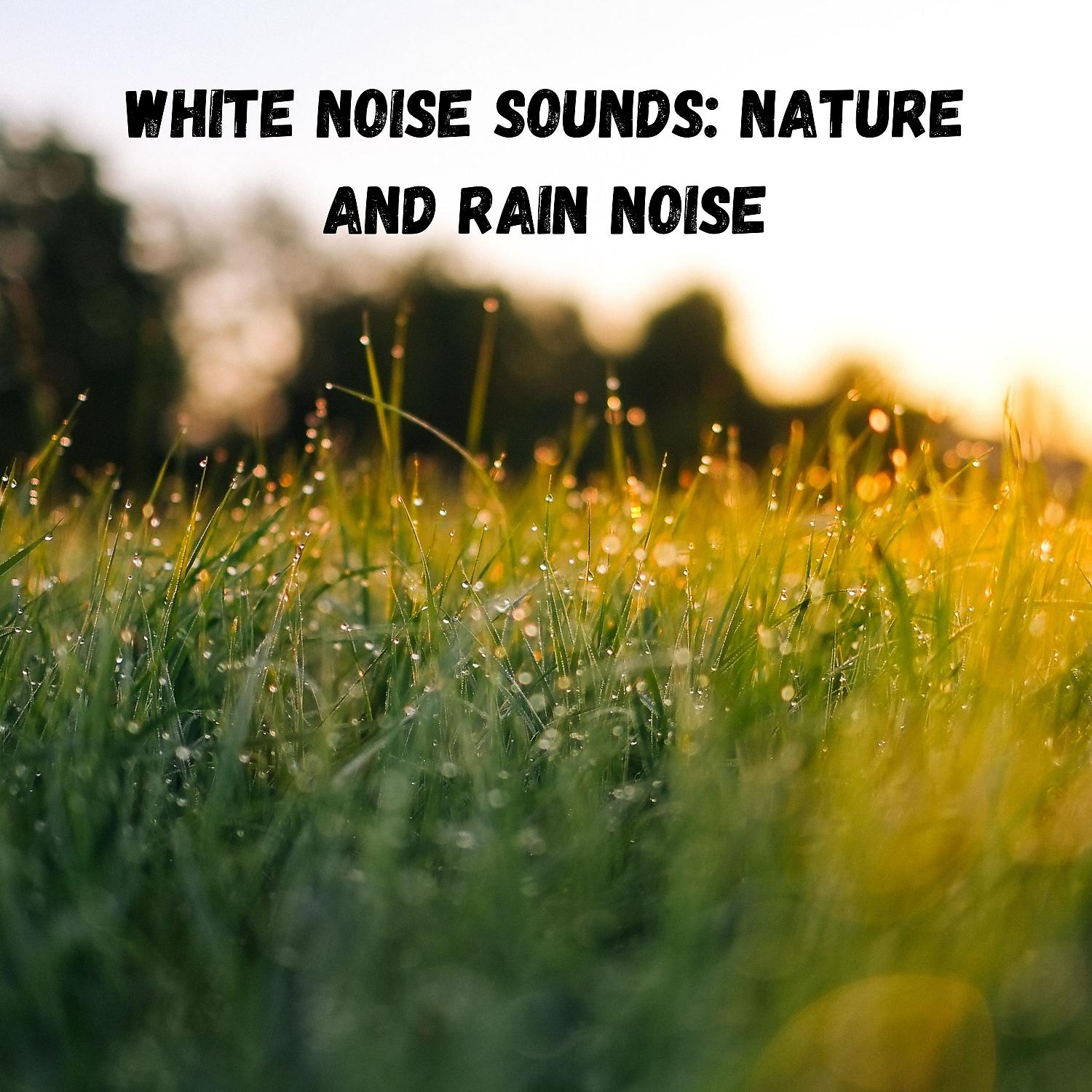 Постер альбома White Noise Sounds: Nature and Rain Noise