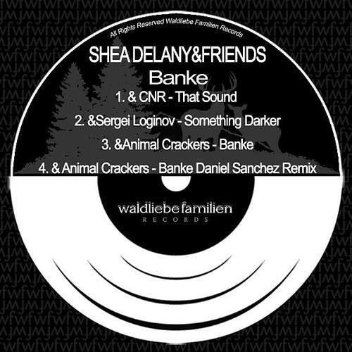 Shea Delany - Banke (Daniel Sanchez Remix)