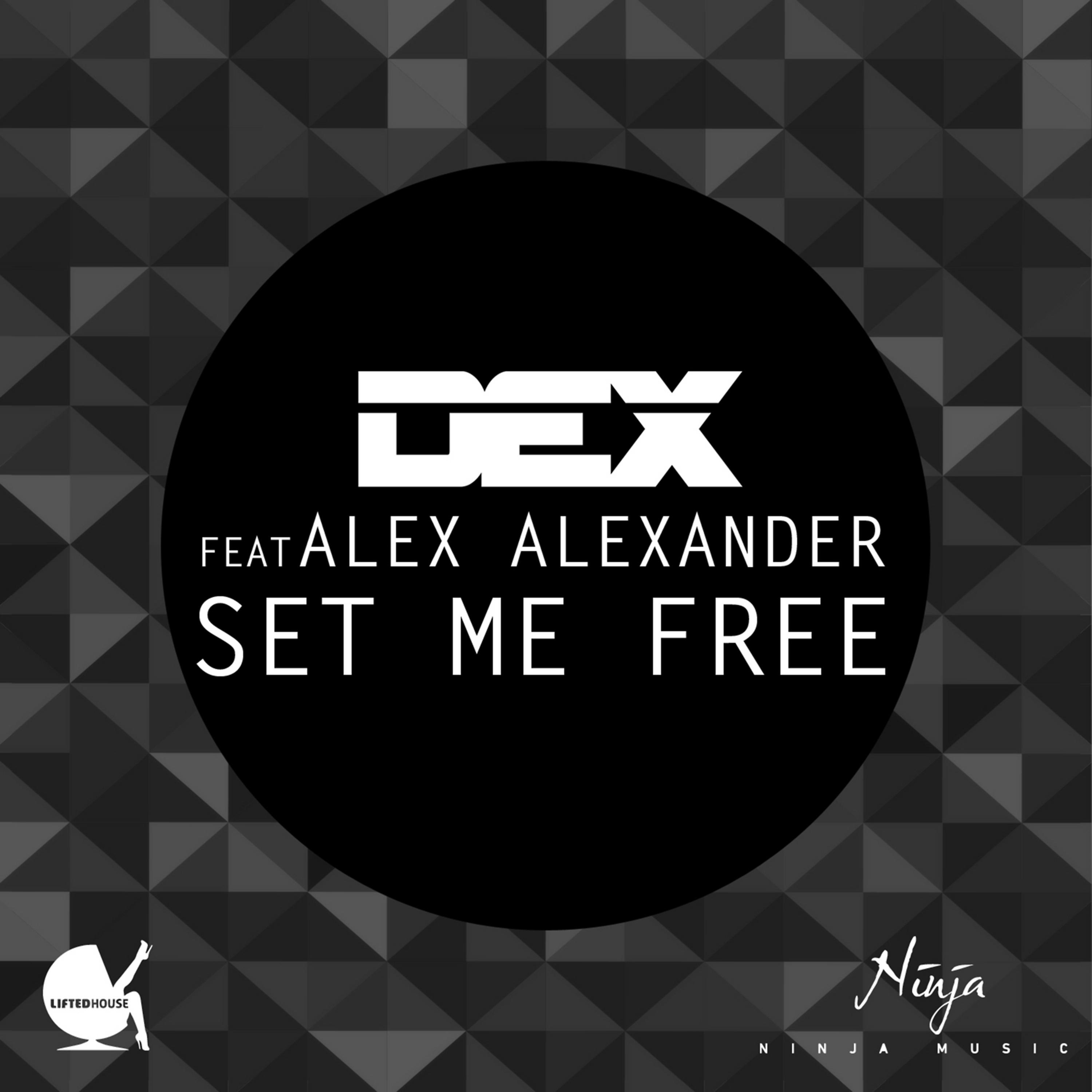 Постер альбома Set Me Free (feat. Alex Alexander)