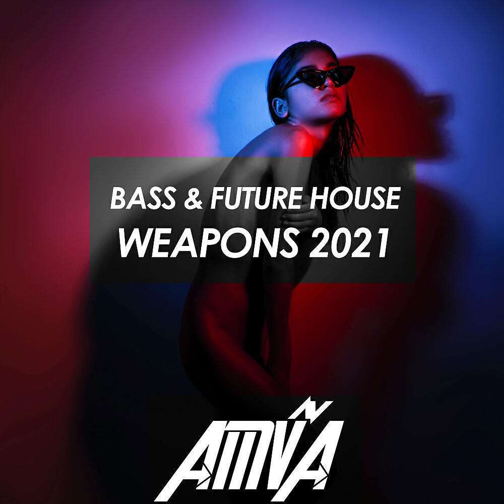 Biggoose - Fantasm (Radio Edit)