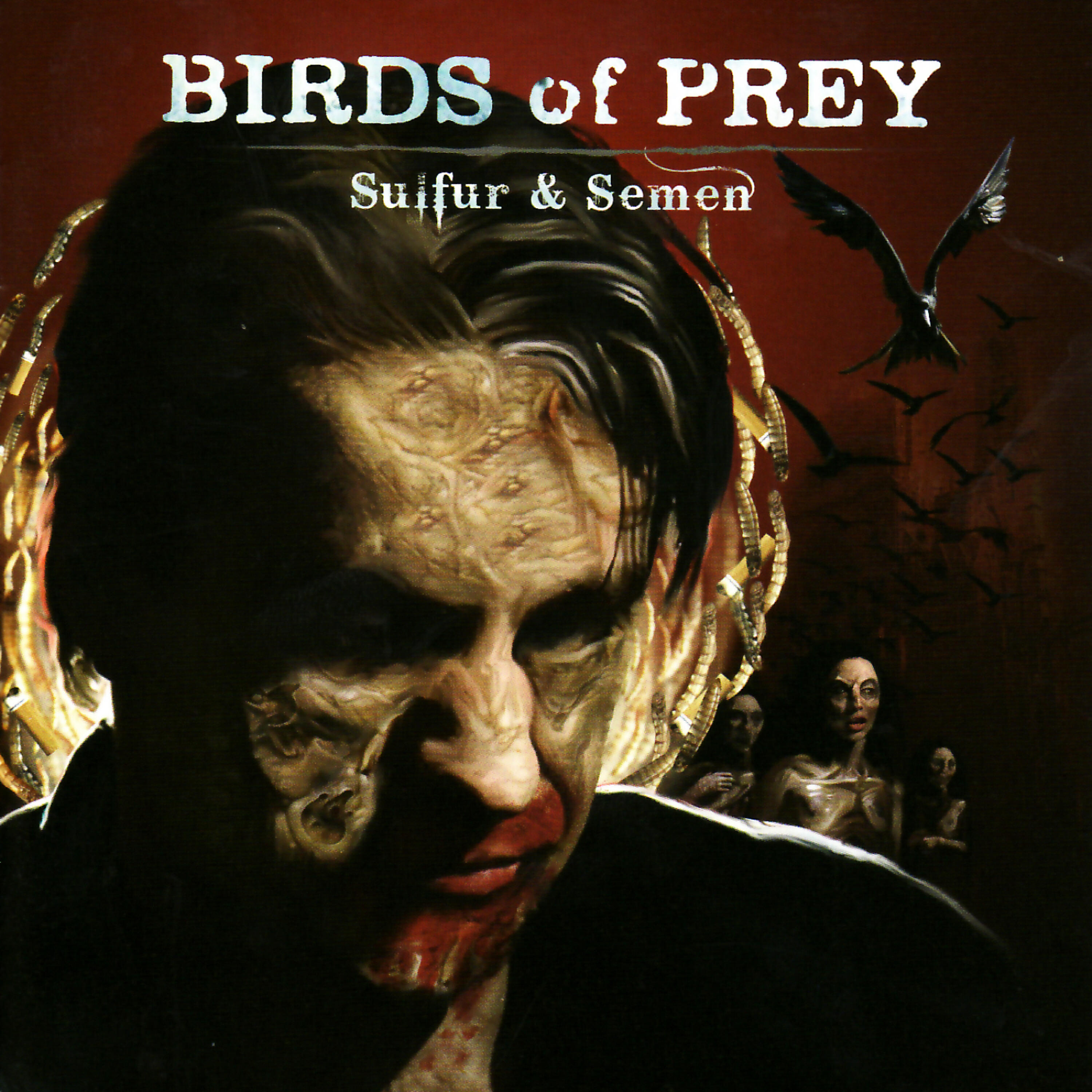 Birds of Prey - Where Black Lungs Don't Breathe