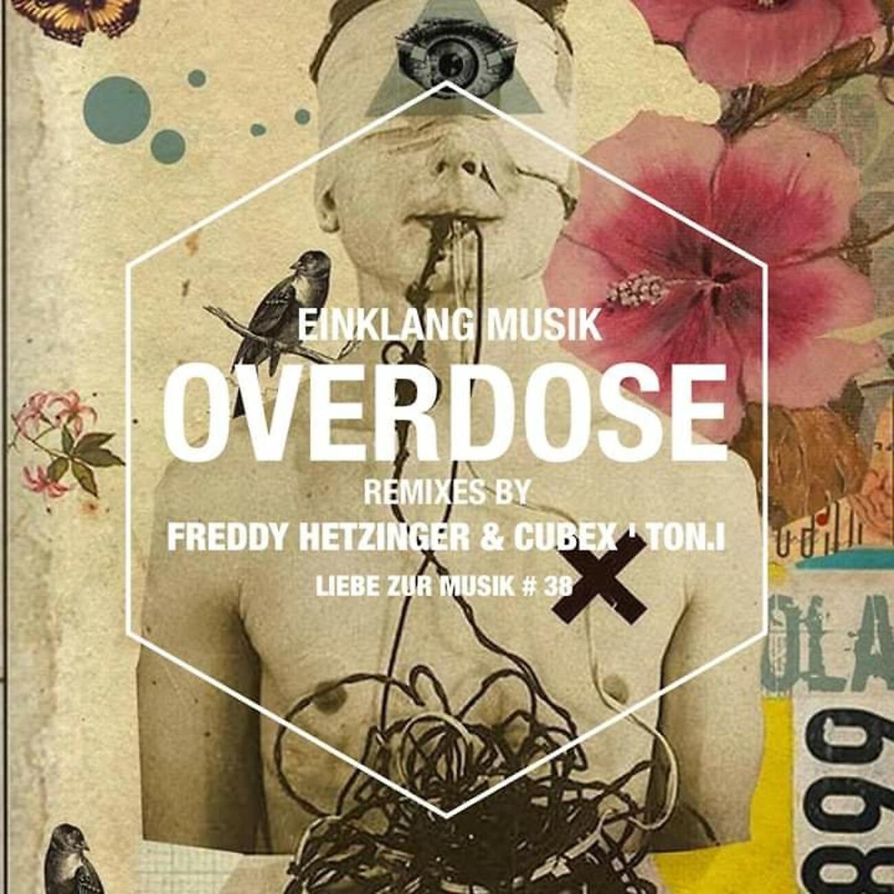 Einklang Musik - Overdose (Freddy Hetzinger & Cubex Remix)
