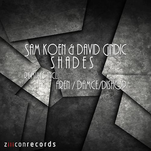 Sam Koen - Shades (Damce Remix)