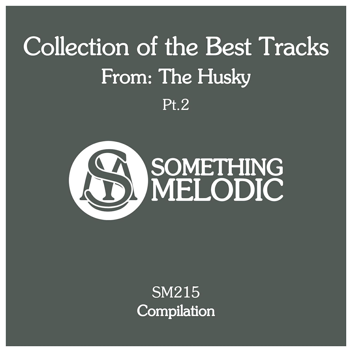 DJ Artak - Searching (The Husky Remix)