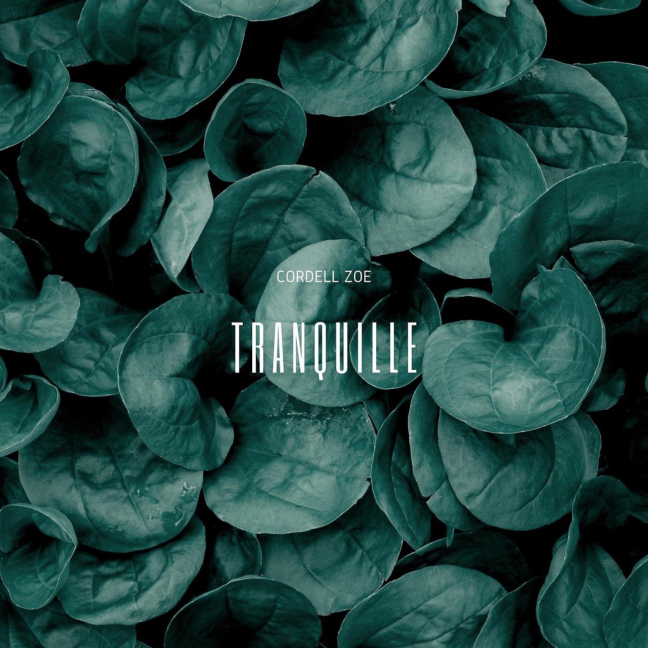 Постер альбома Tranquille