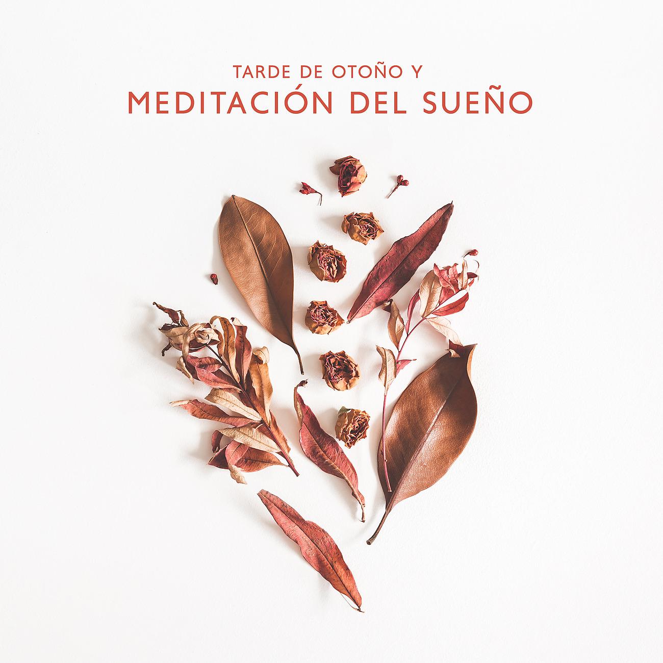 Постер альбома Tarde de Otoño y Meditación del Sueño