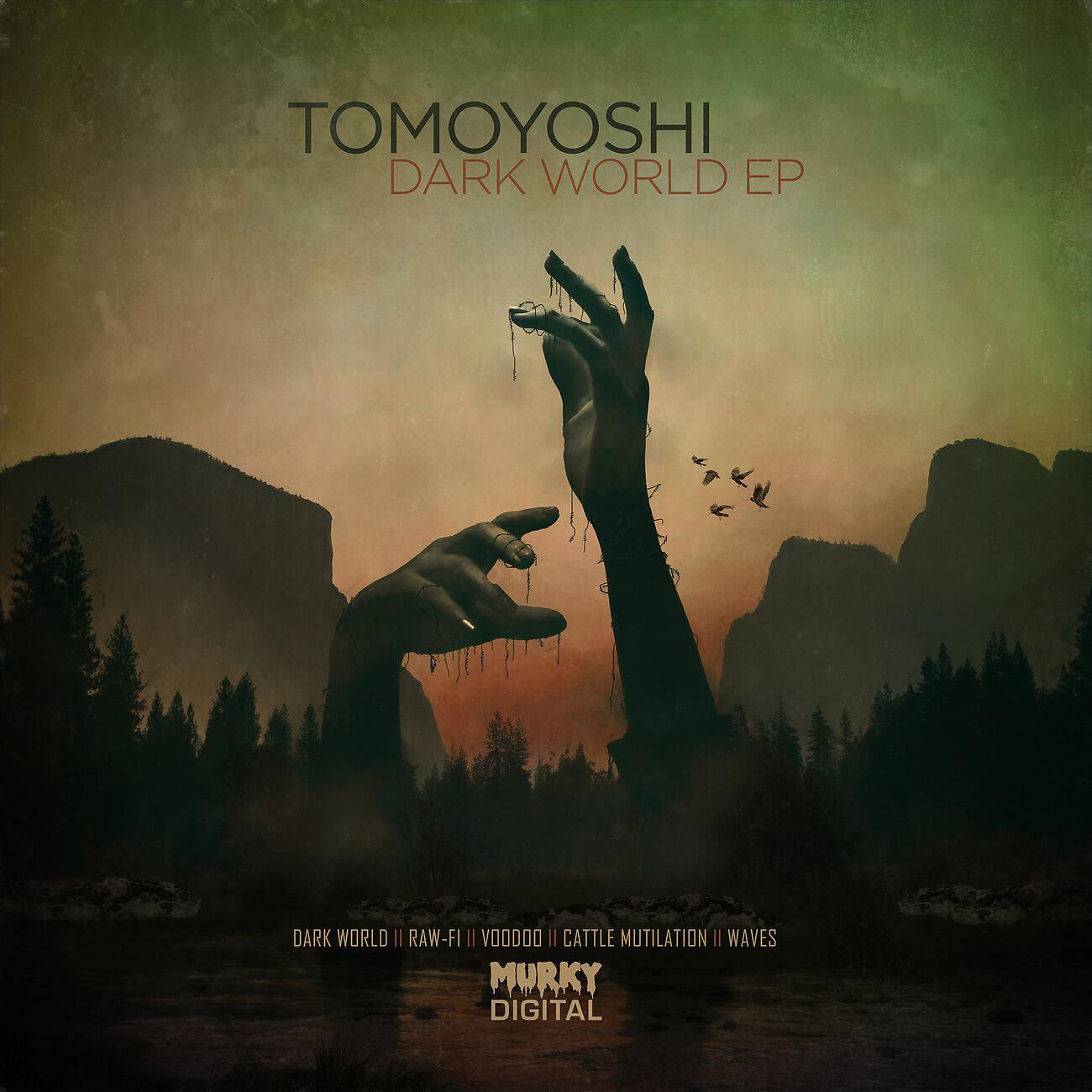 Tomoyoshi - Raw-Fi