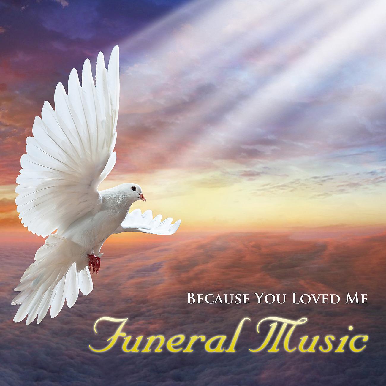 Постер альбома Because You Loved Me - Funeral Music