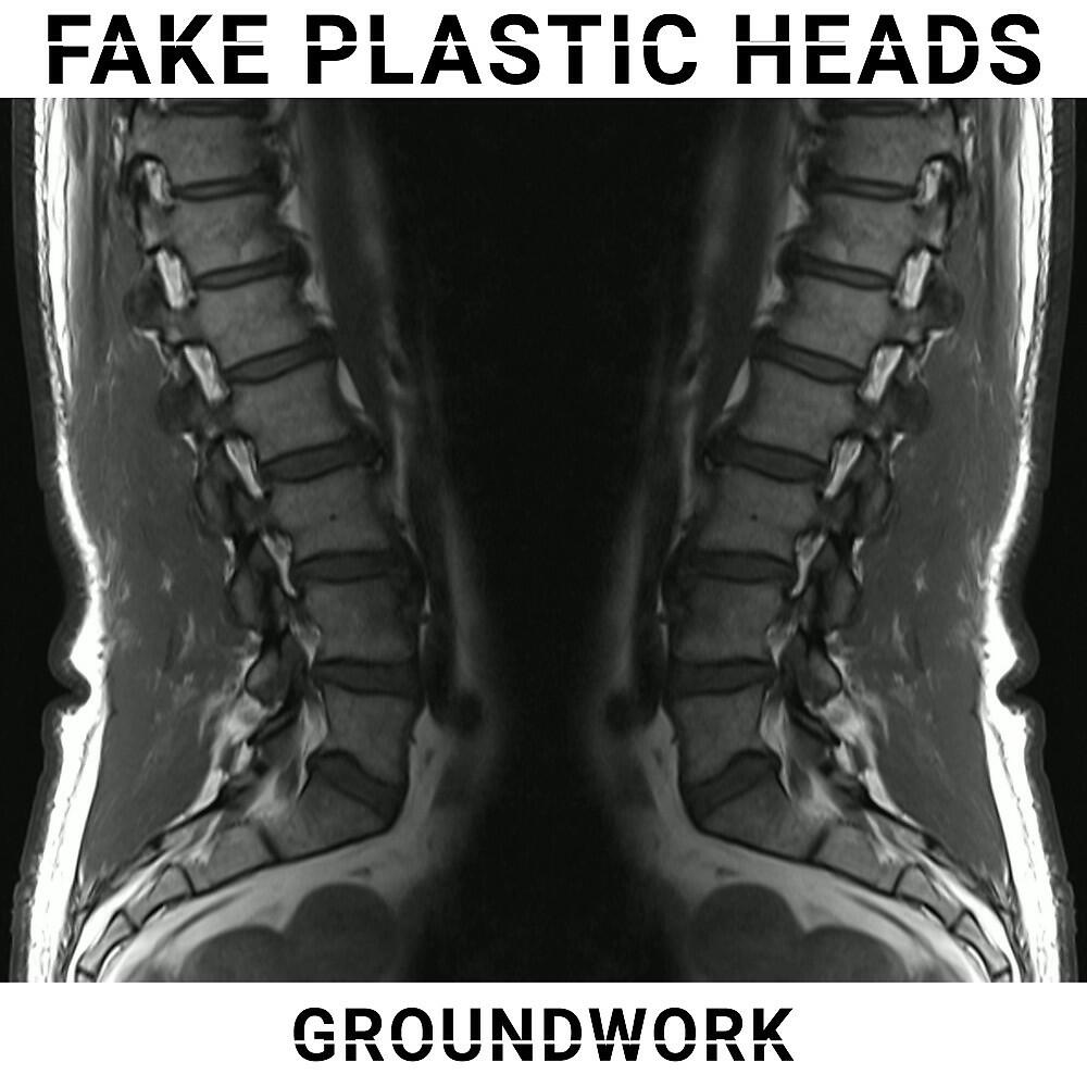 Fake Plastic Heads - Desert Belly Drinks