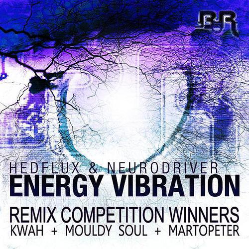 Hedflux - Energy Vibration (Martopeter Remix)