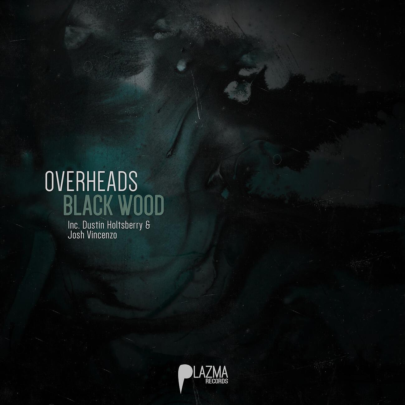 Overheads - Guitar Hero (Dustin Holtsberry Remix Version)