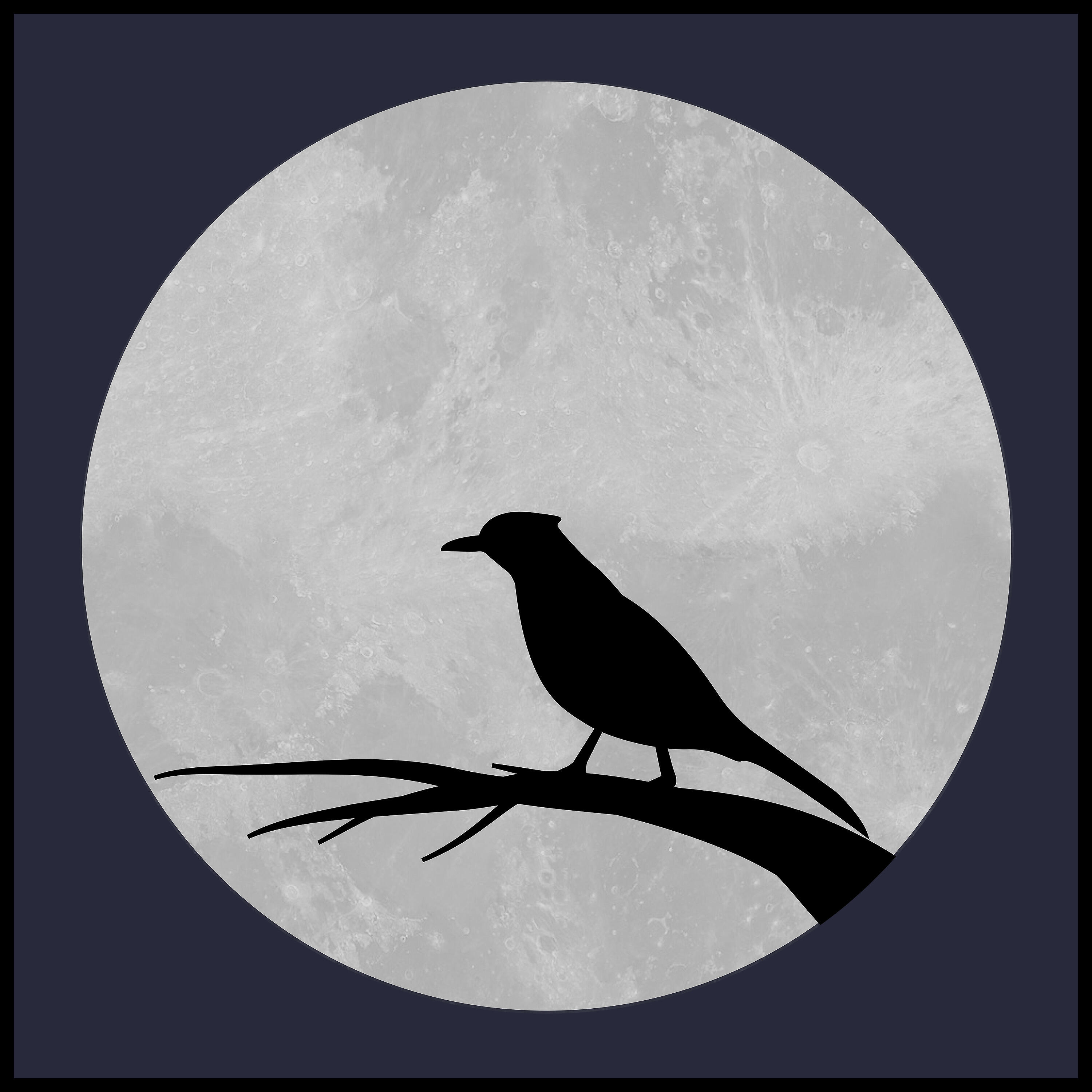 Drem - Nightbird