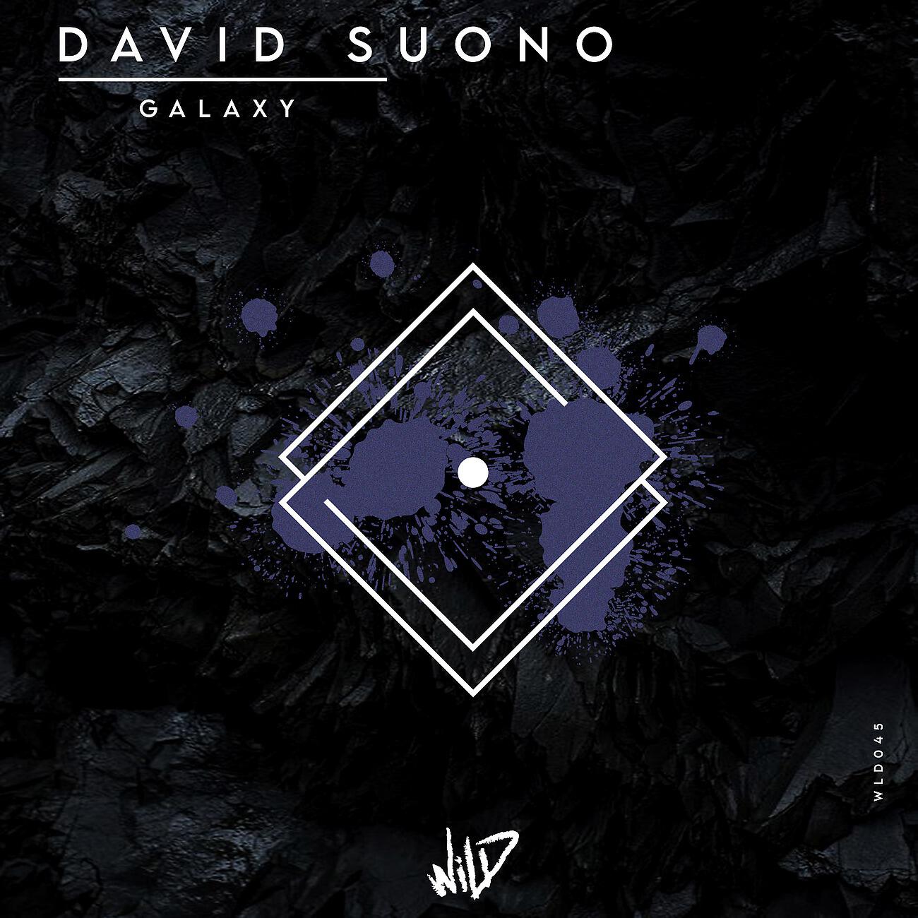 David Suono - Exercise