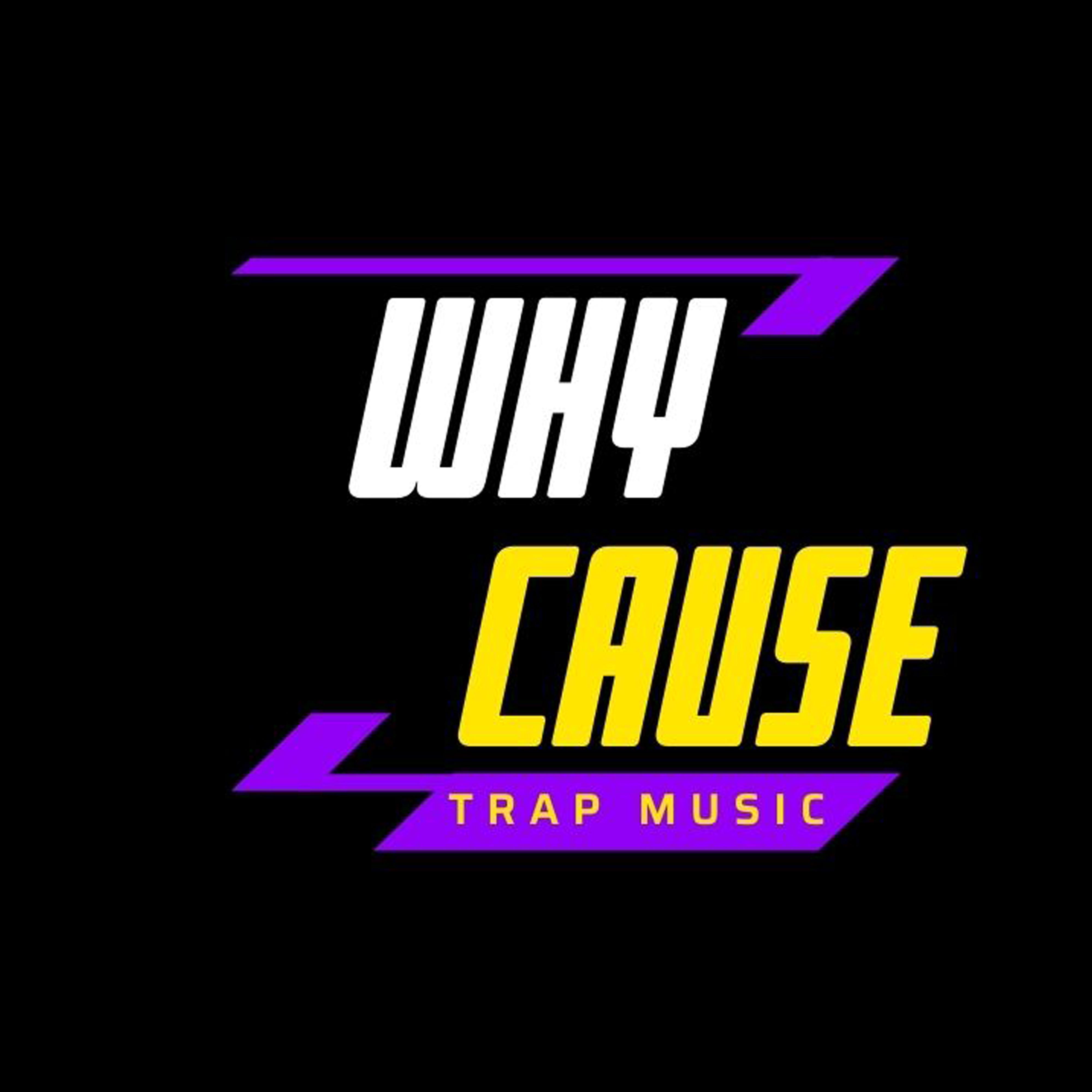 Постер альбома Why Cause (Trap Music)